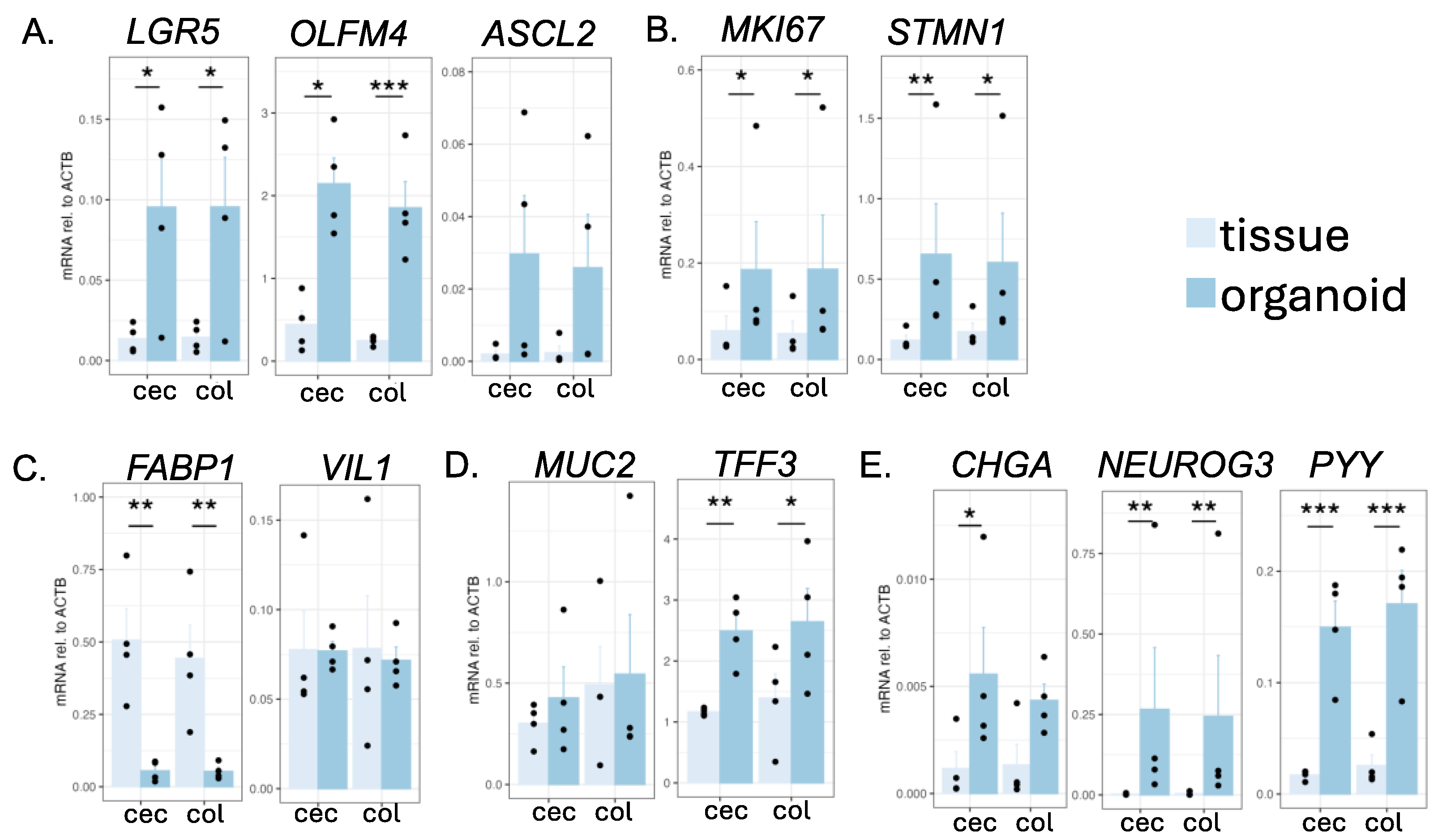 Preprints 146882 g002