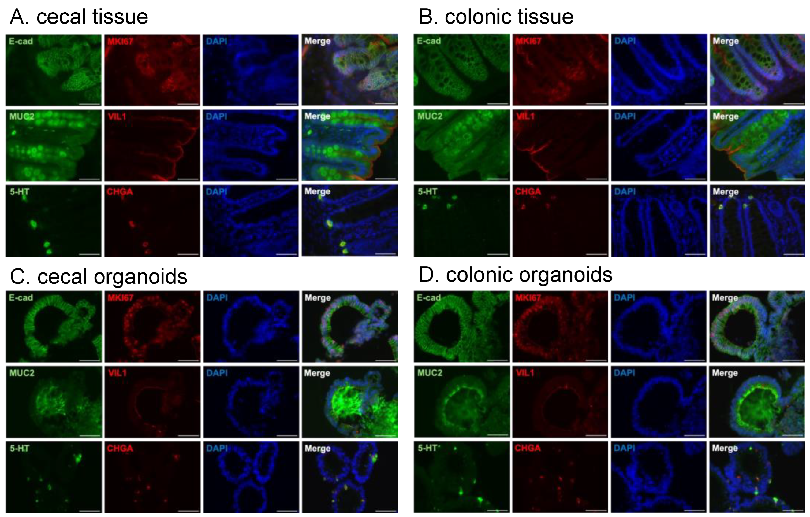 Preprints 146882 g003