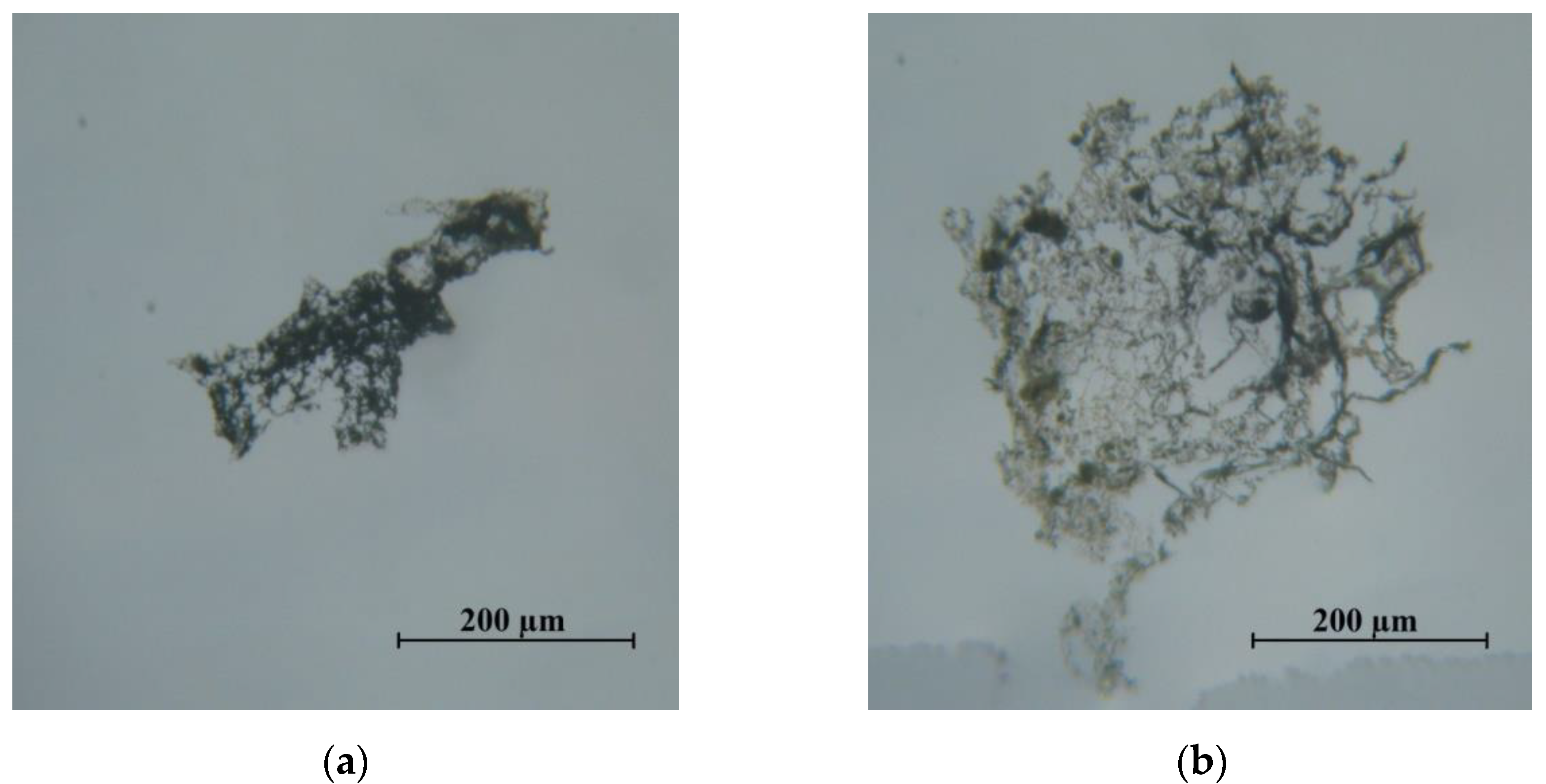 Preprints 139061 g016