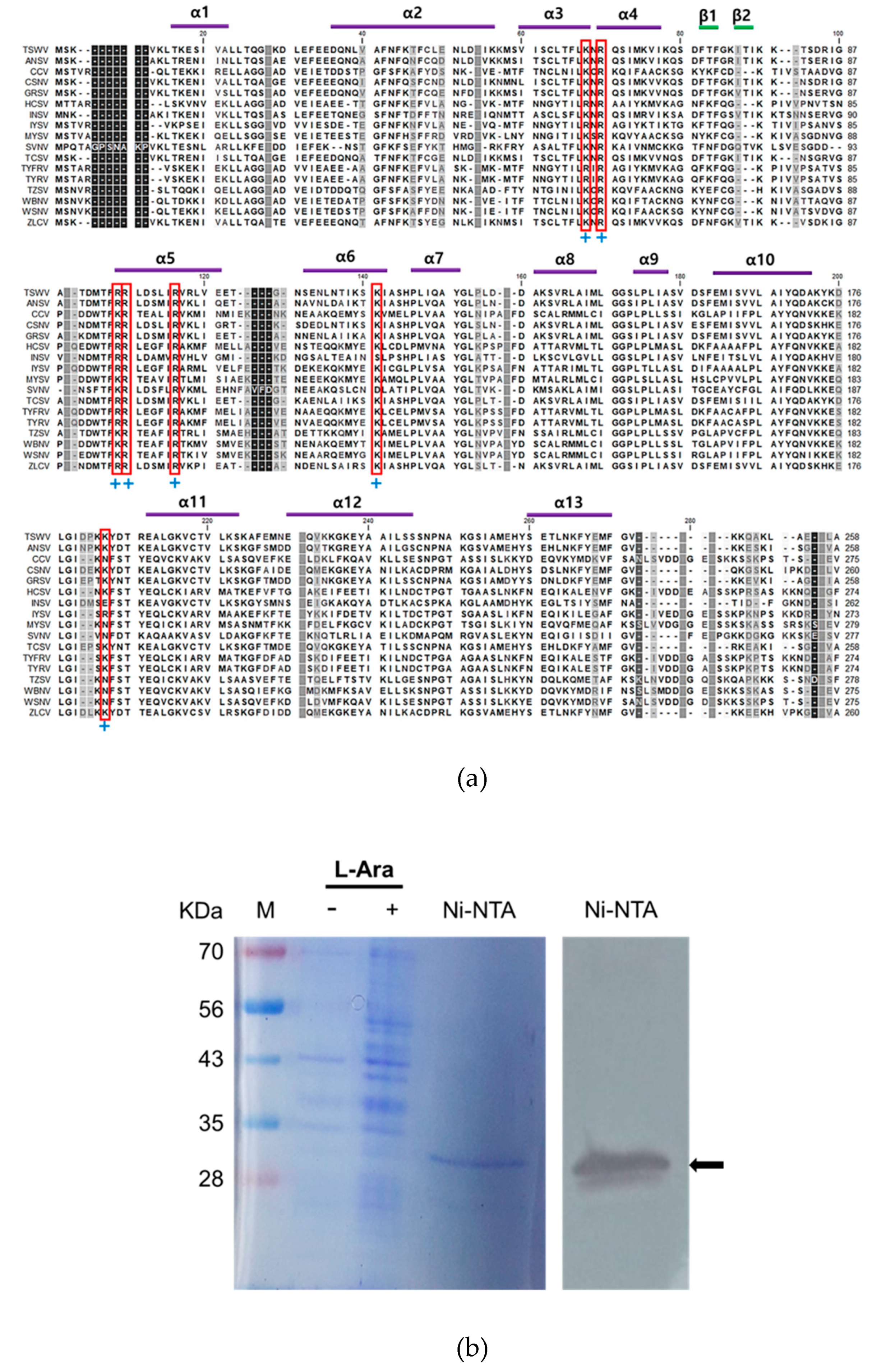 Preprints 158367 g001
