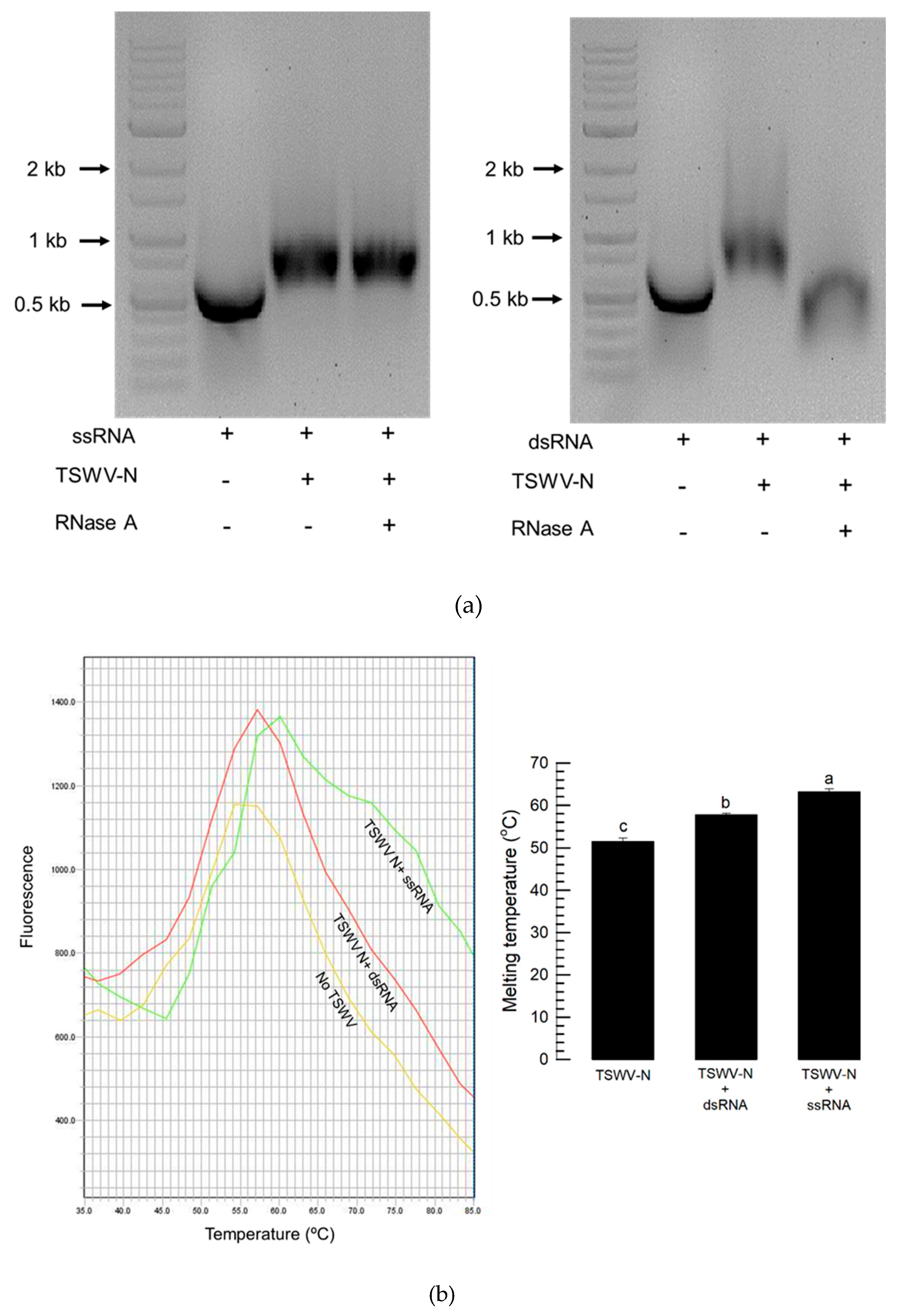 Preprints 158367 g004