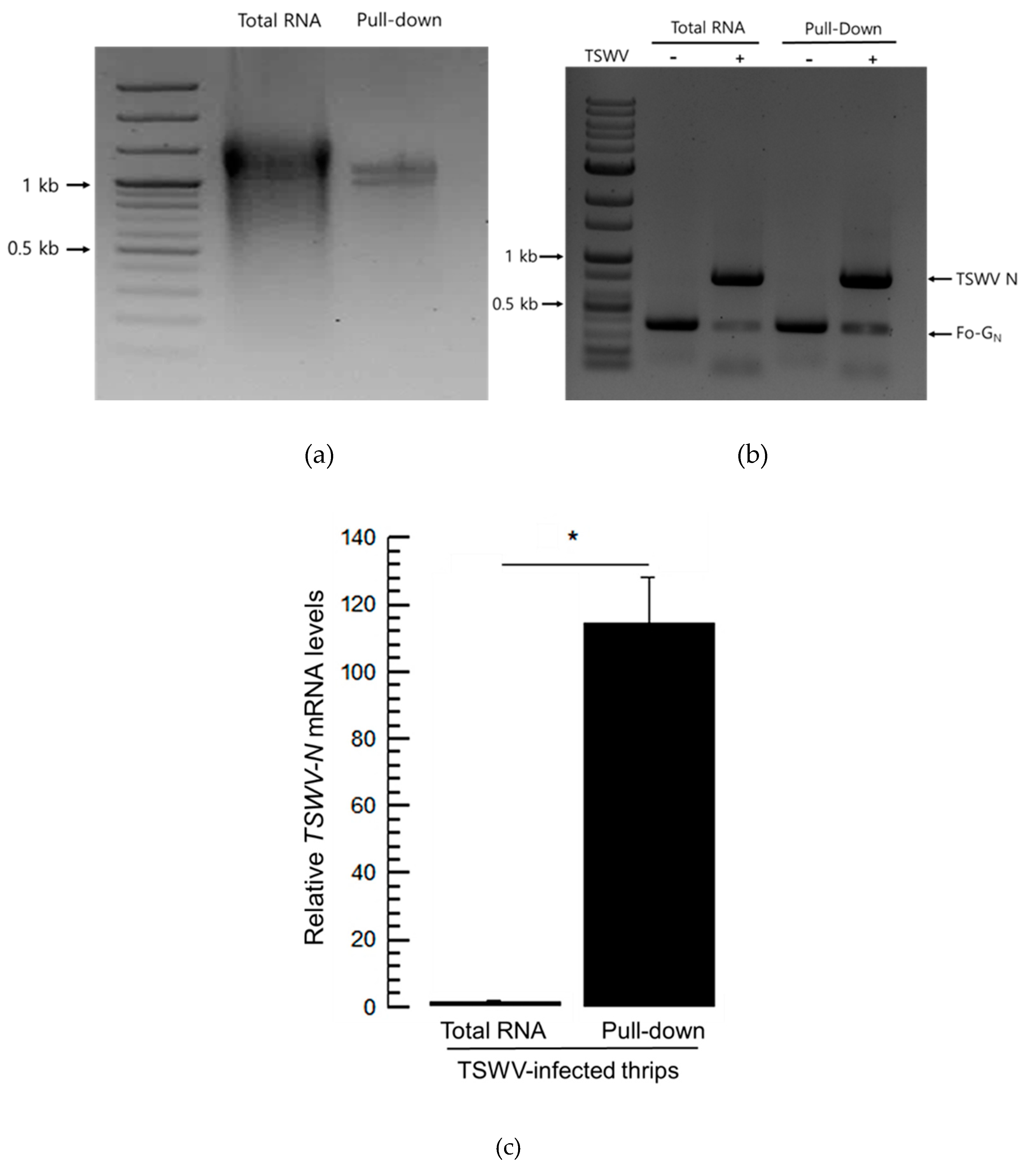 Preprints 158367 g005