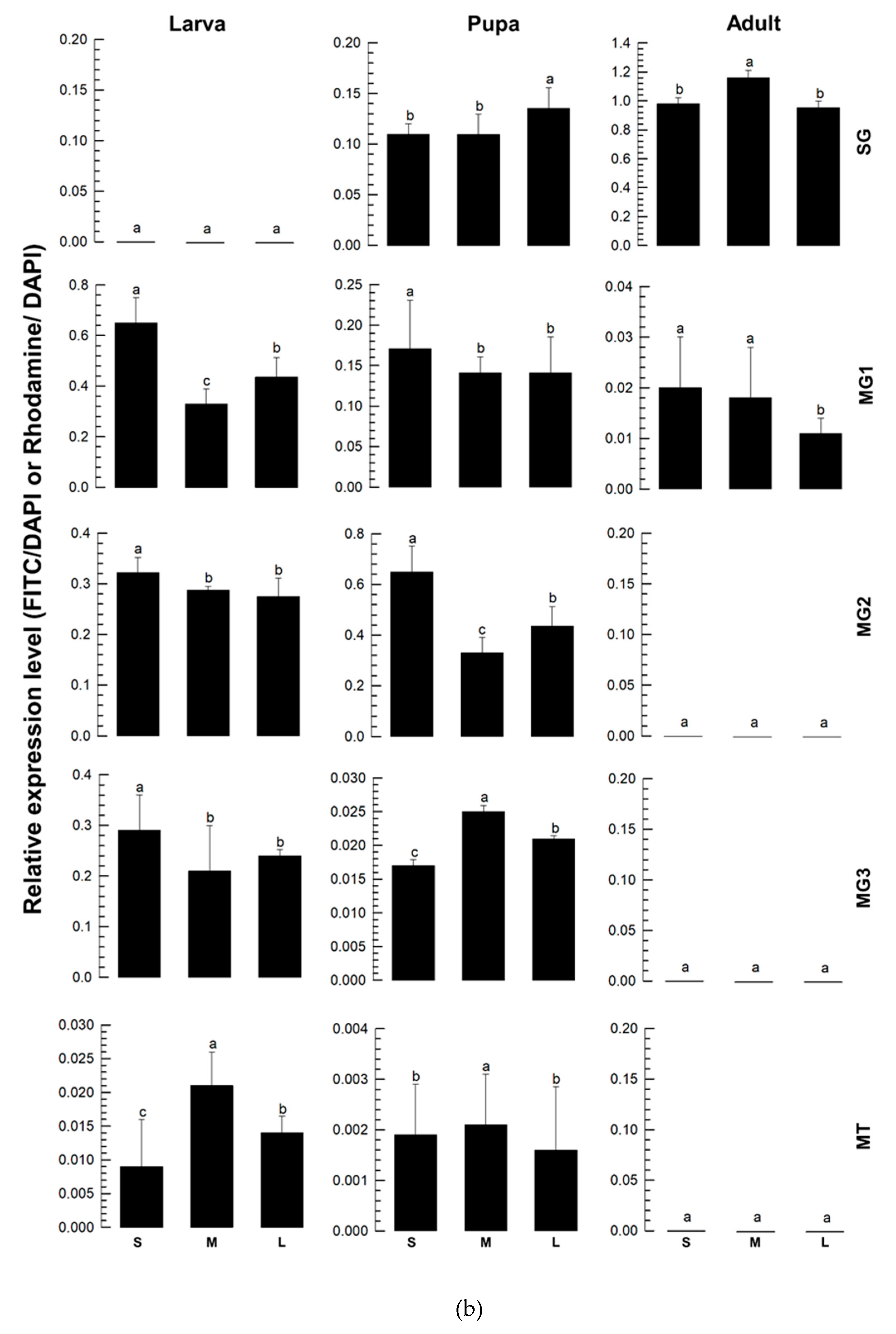 Preprints 158367 g006b