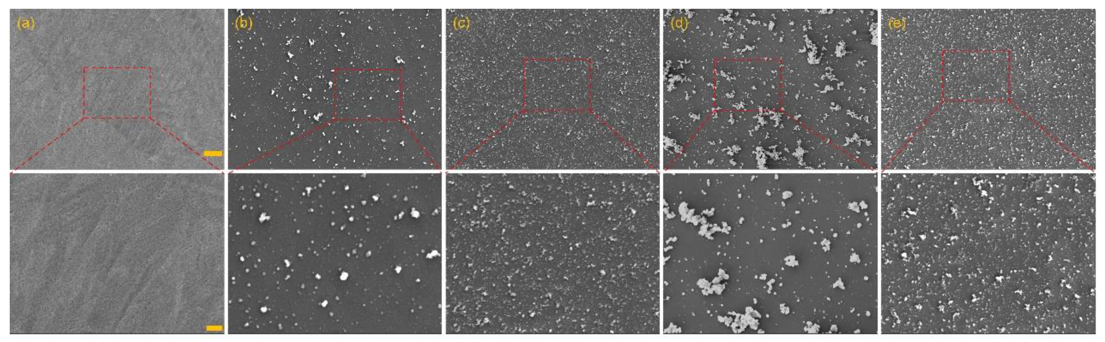 Preprints 216804 g003
