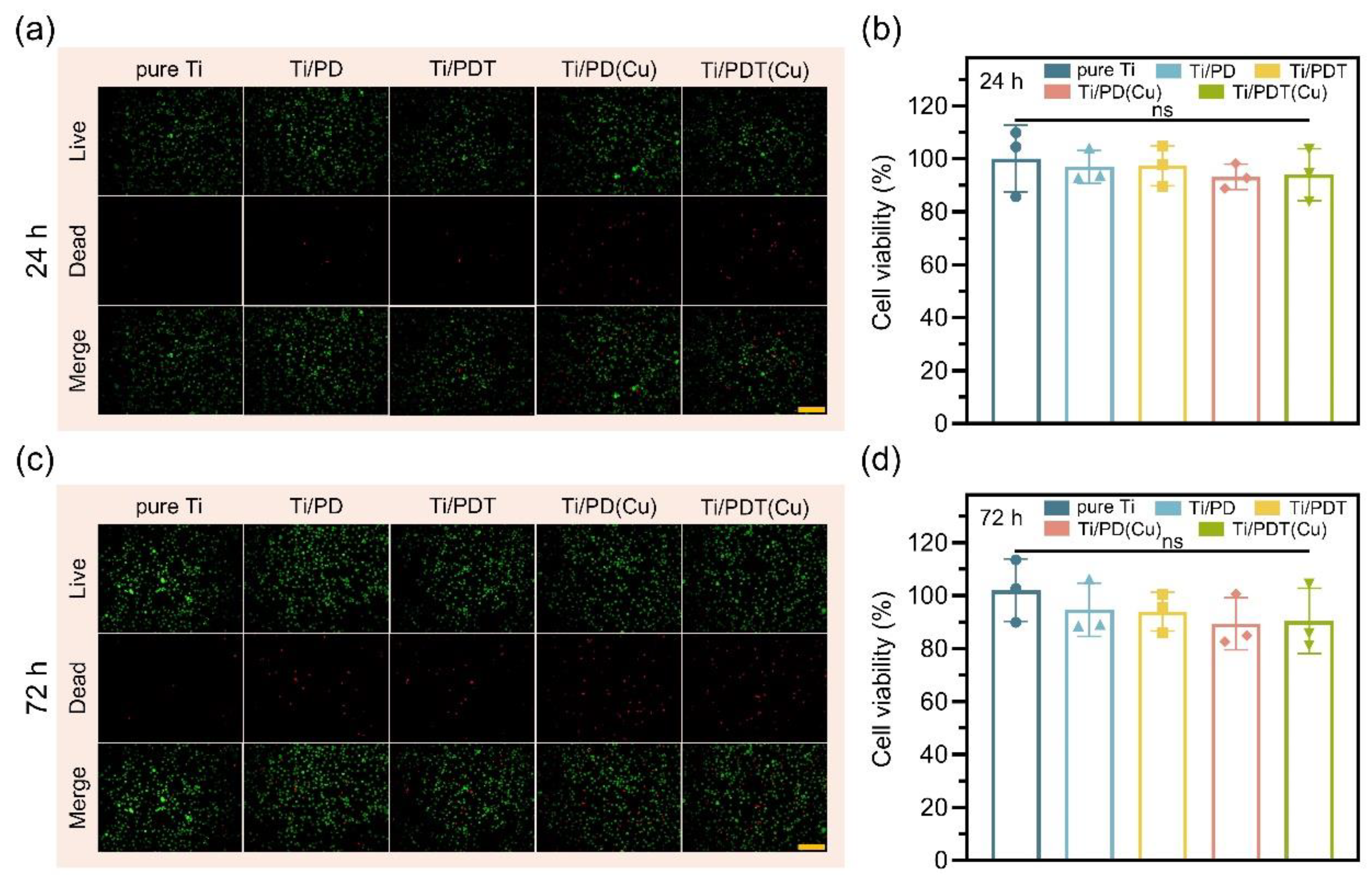 Preprints 216804 g007