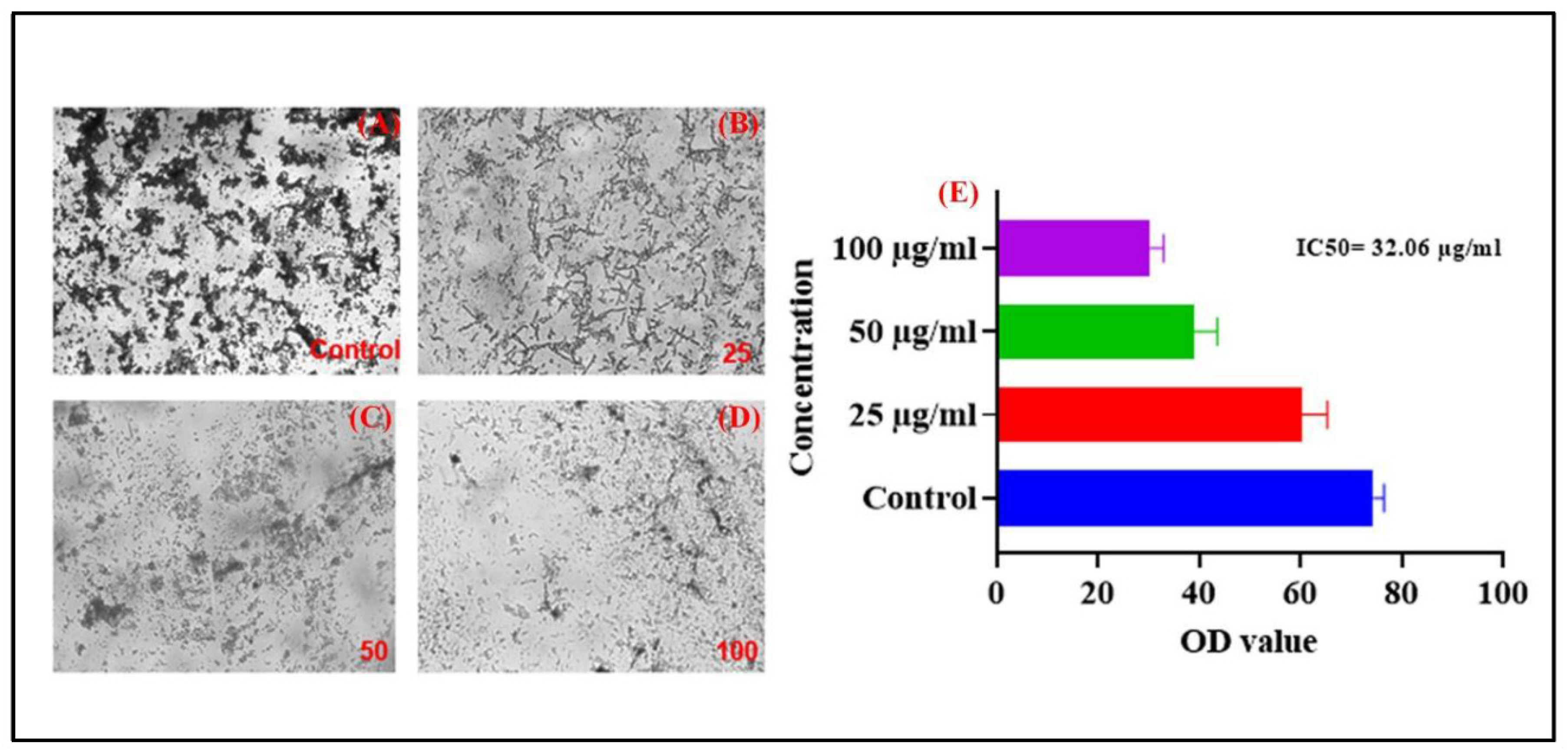 Preprints 174556 g008
