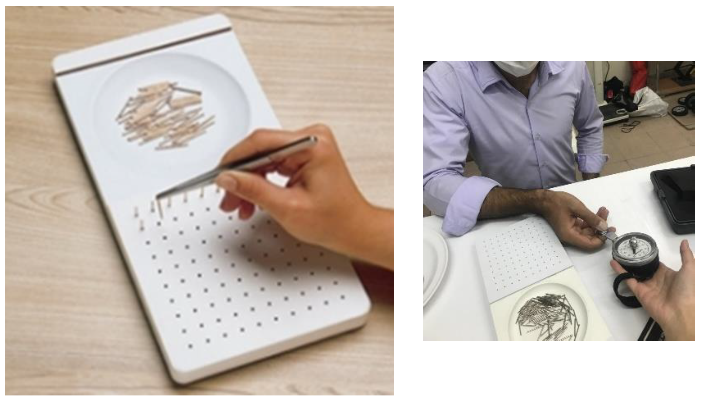 Preprints 109690 g001