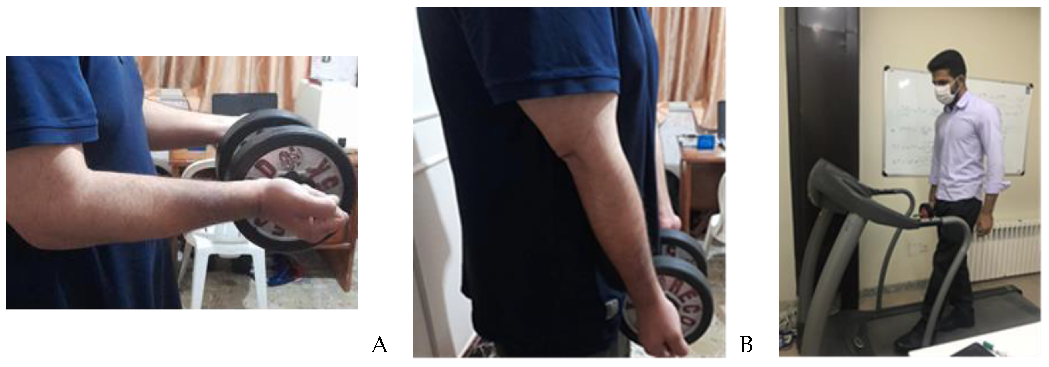 Preprints 109690 g002