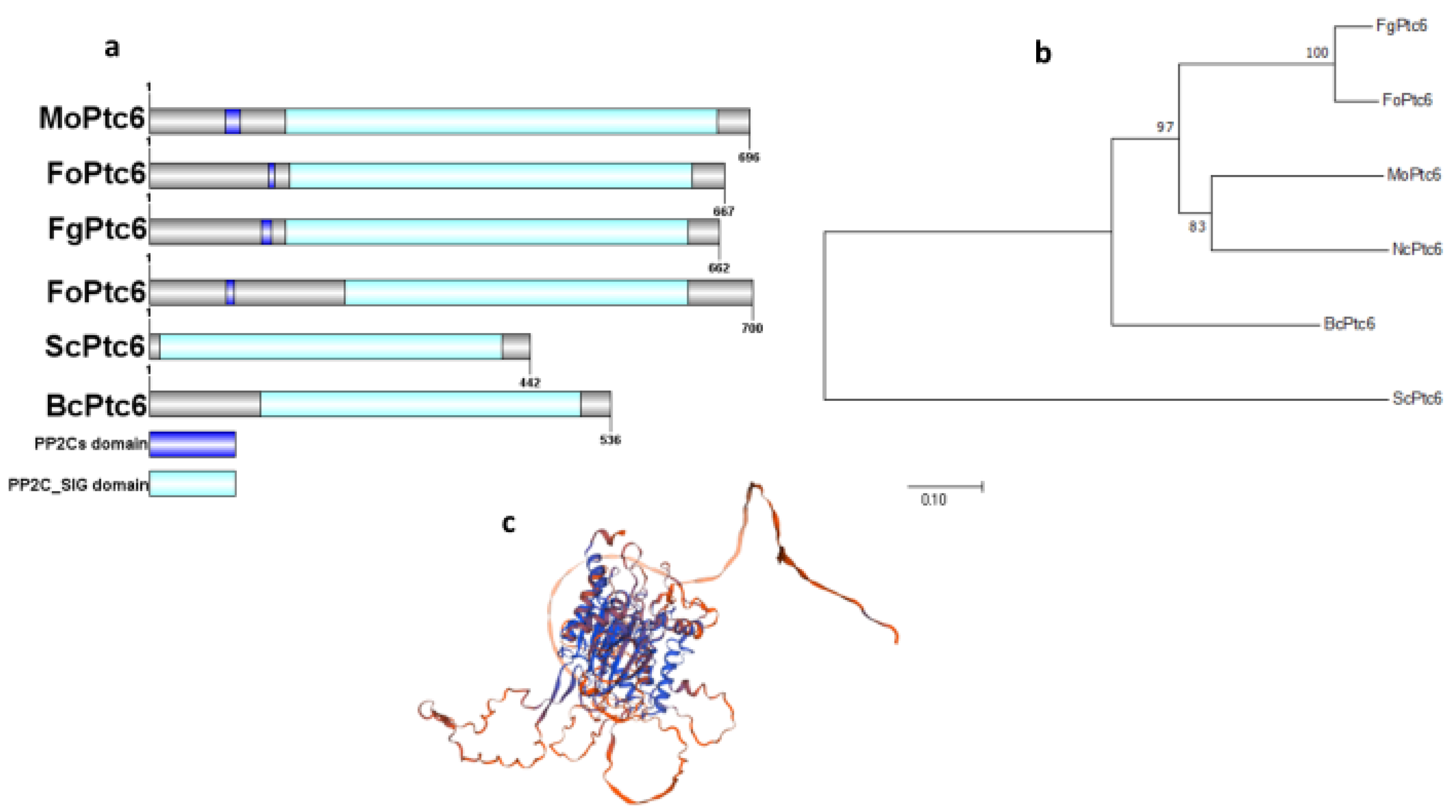 Preprints 152904 g001