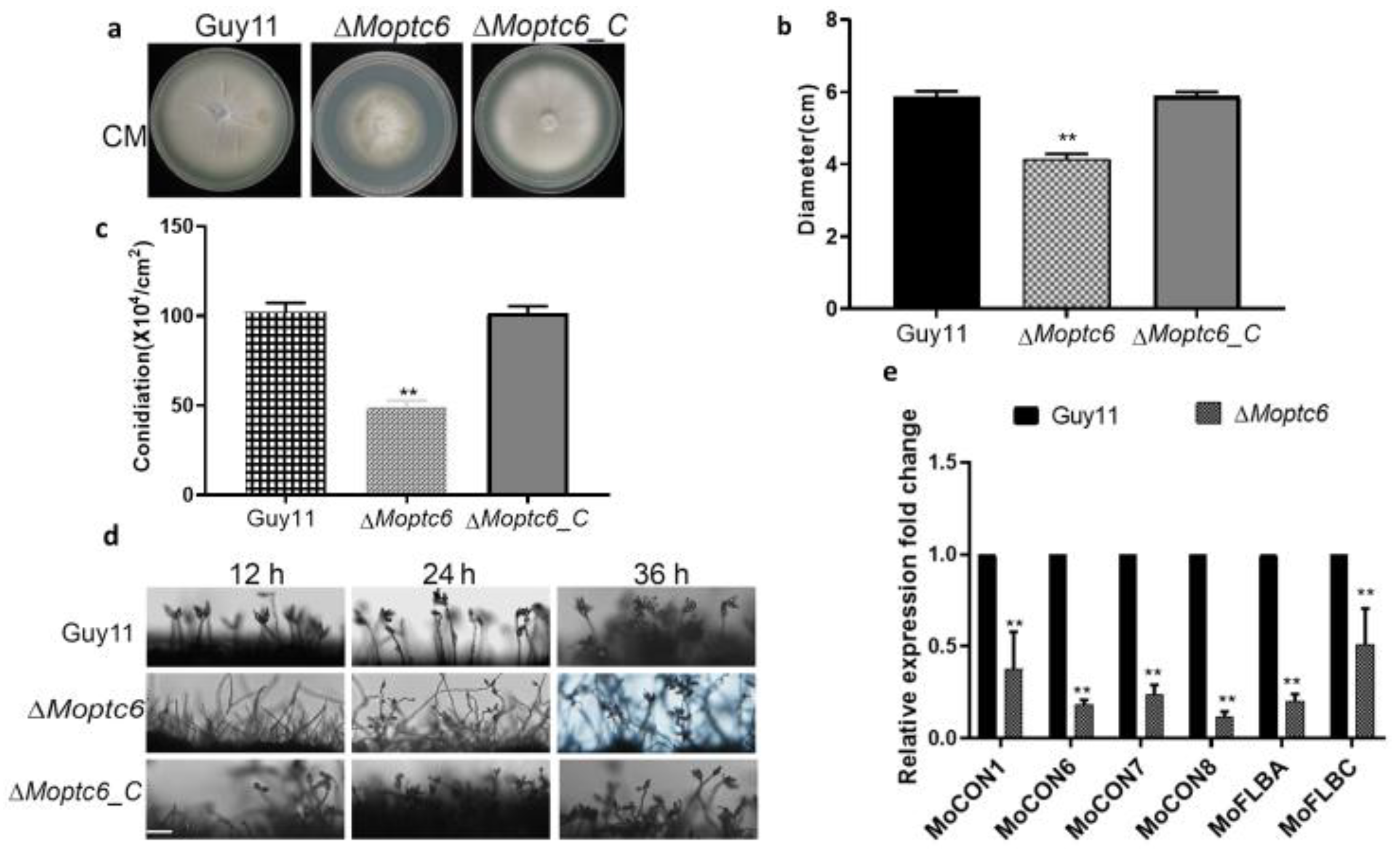 Preprints 152904 g003