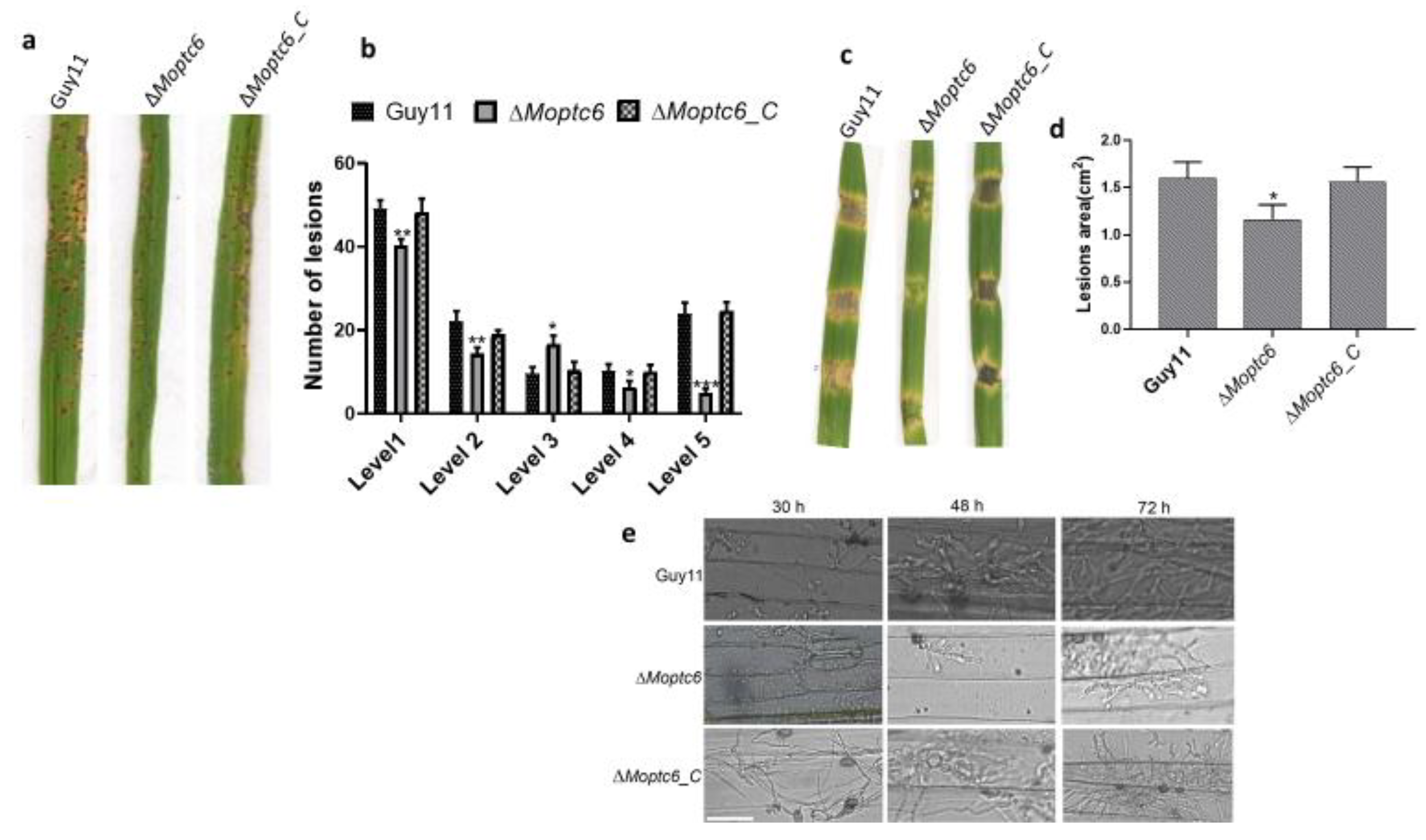 Preprints 152904 g006