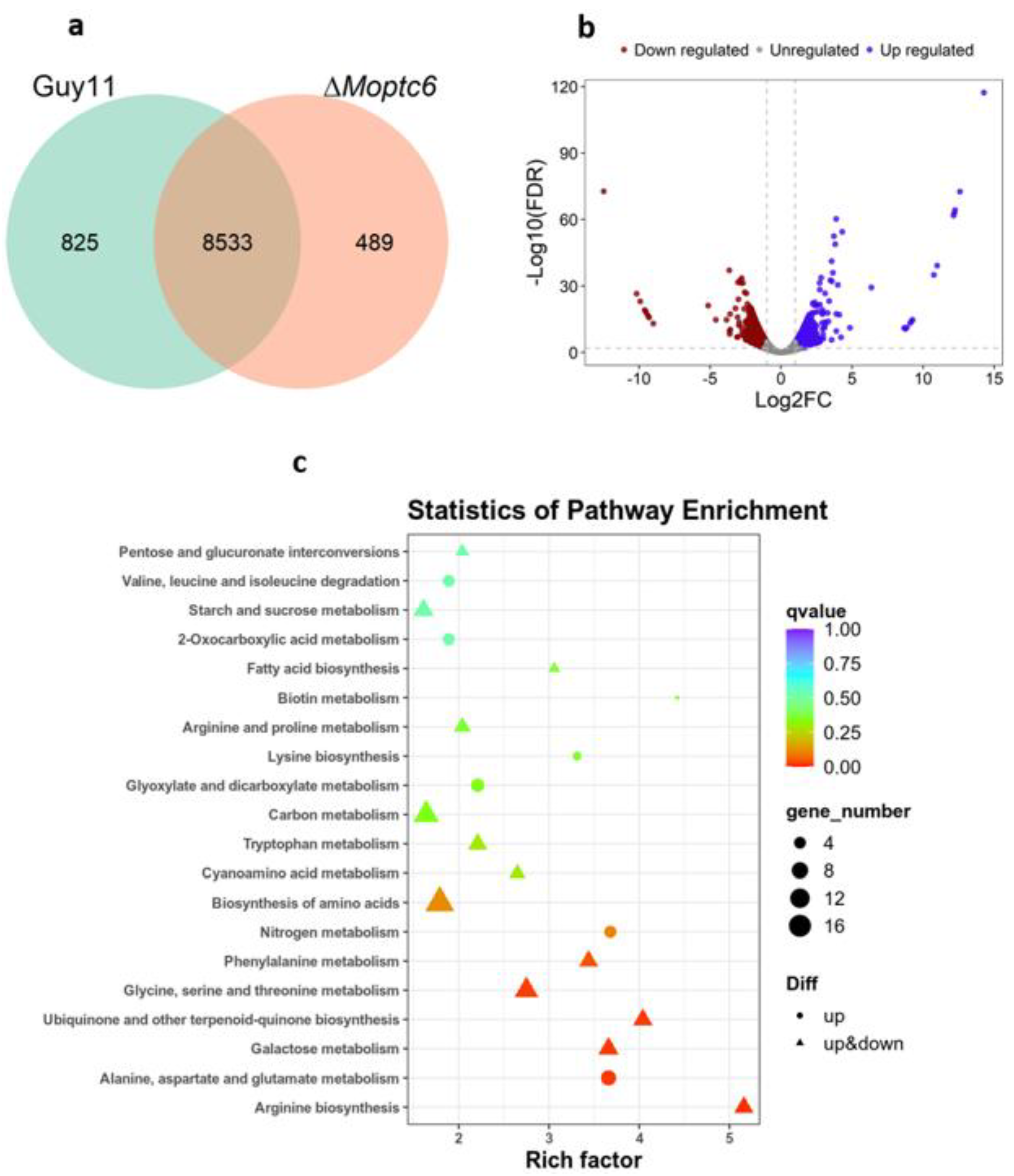 Preprints 152904 g007
