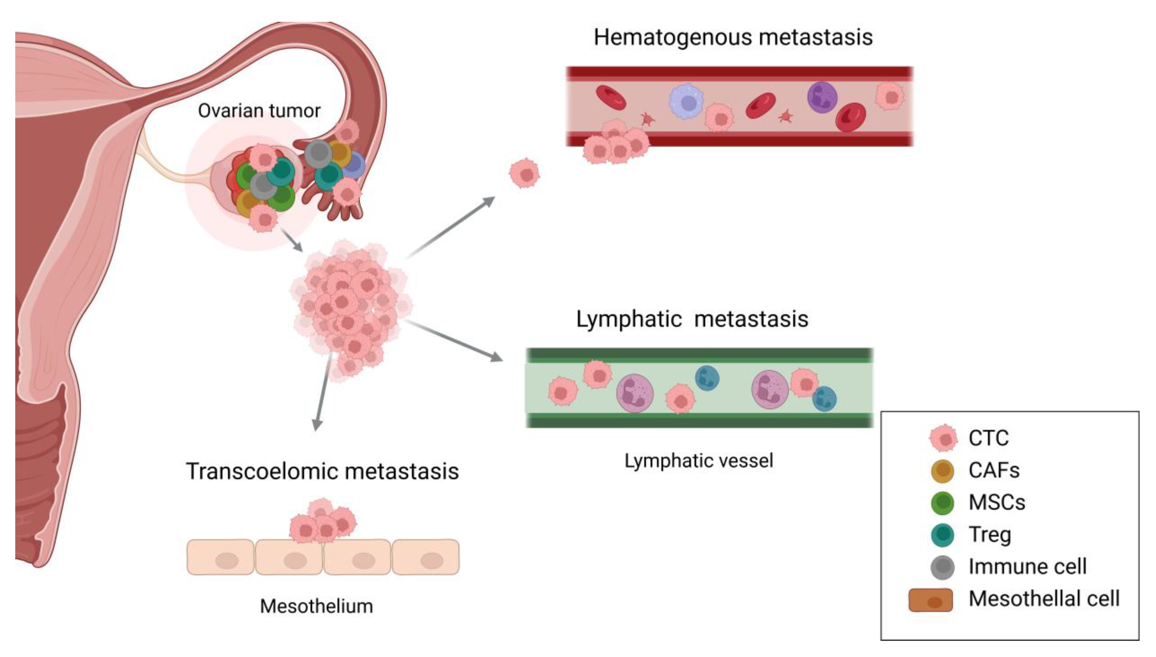 Preprints 147534 g001