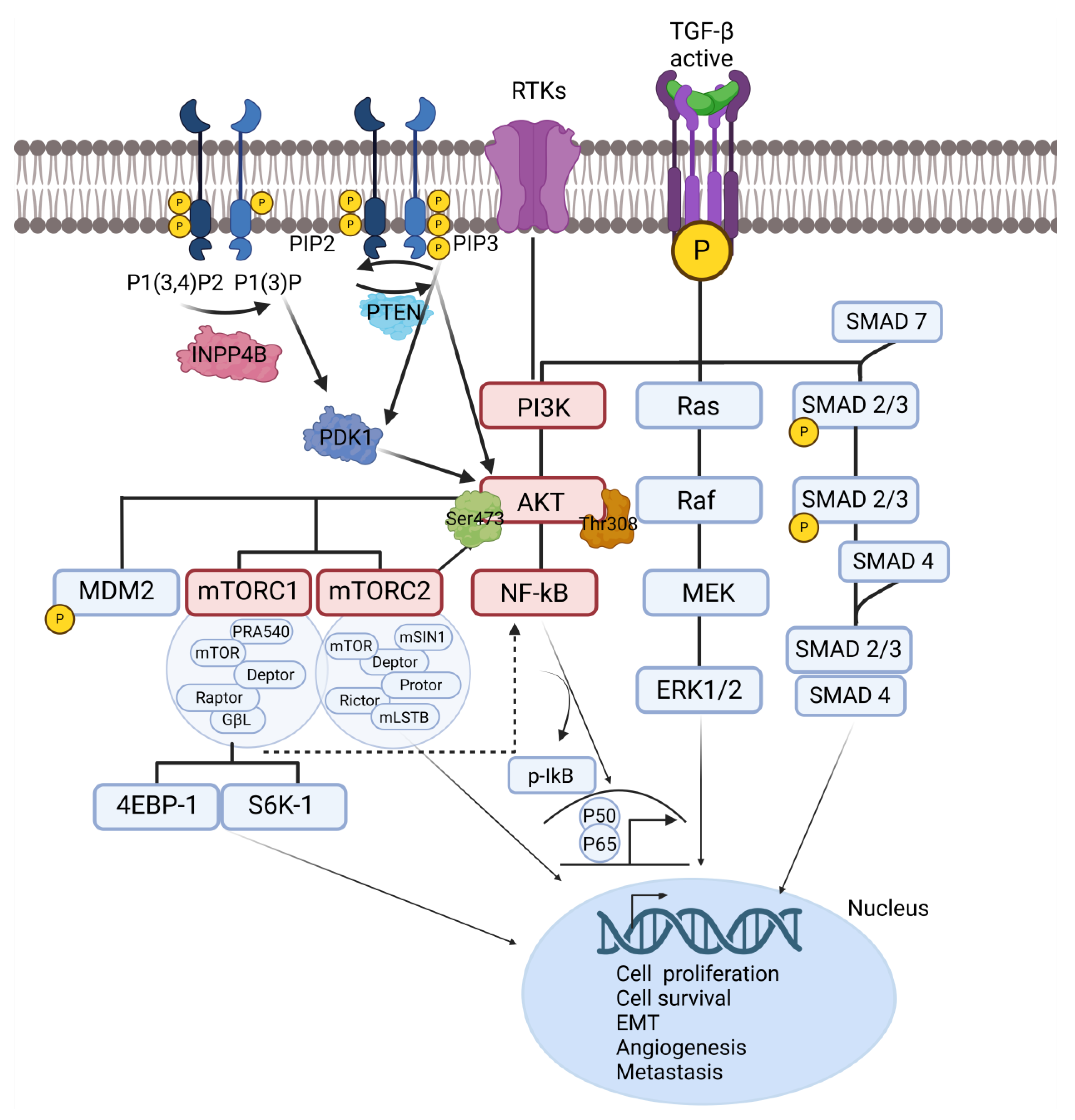 Preprints 147534 g002