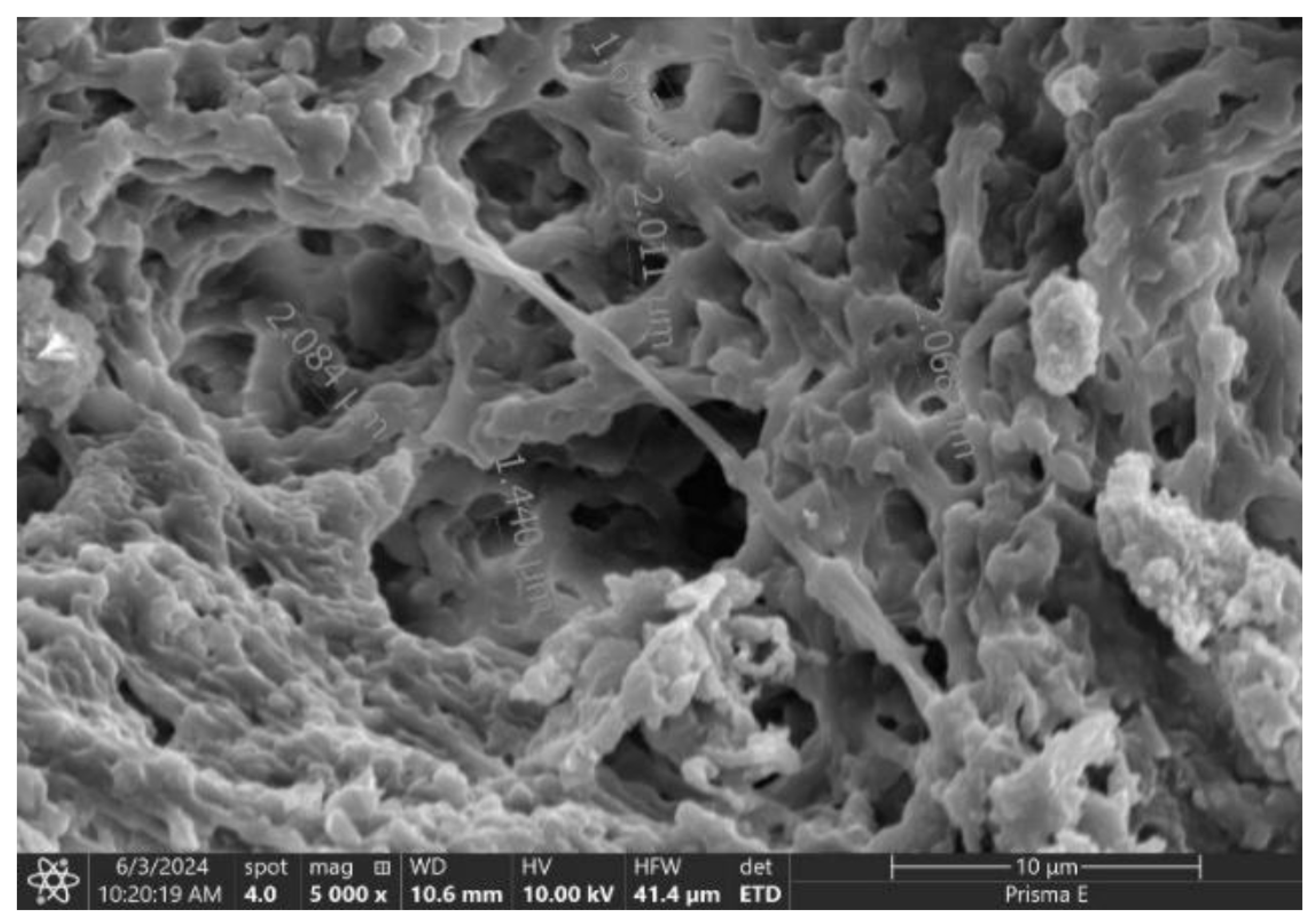 Preprints 190857 g003