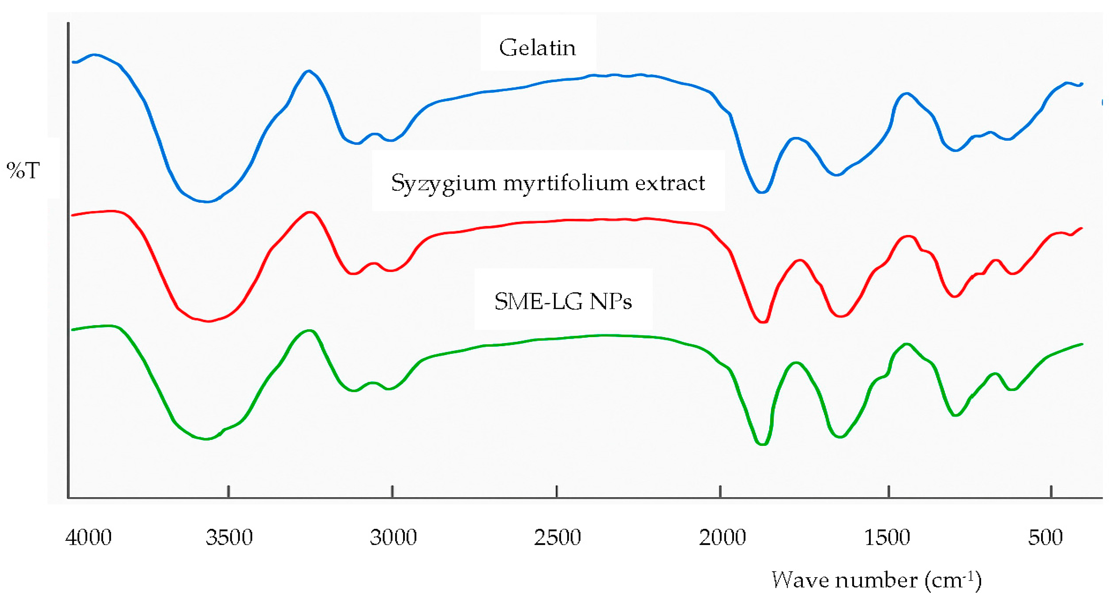 Preprints 190857 g004