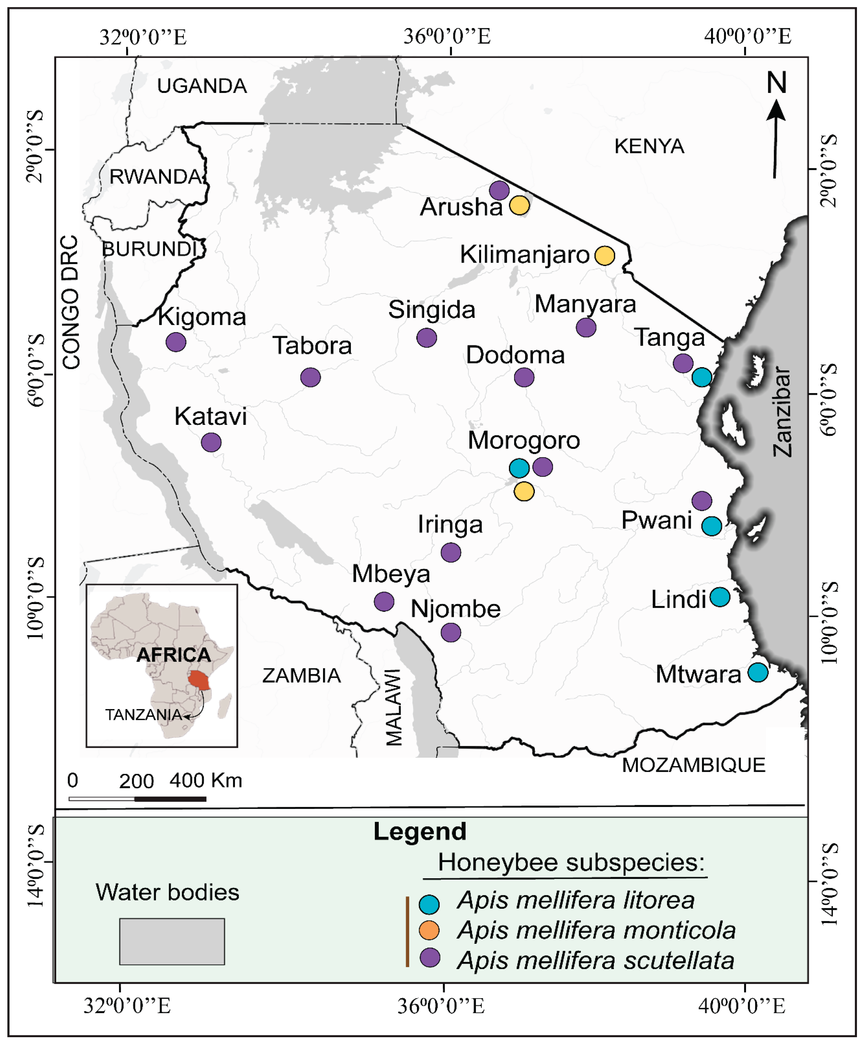 Preprints 192397 g001