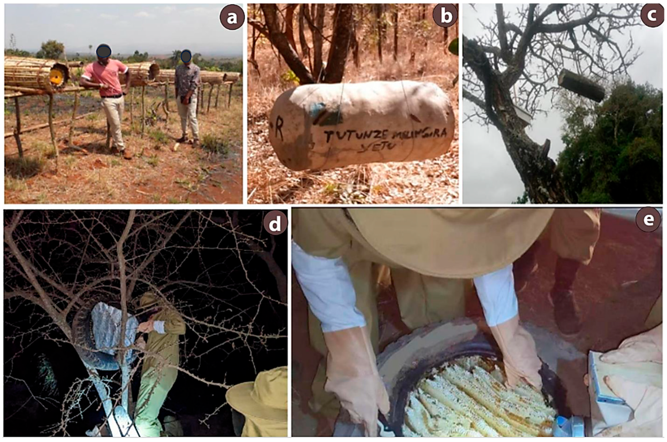 Preprints 192397 g002