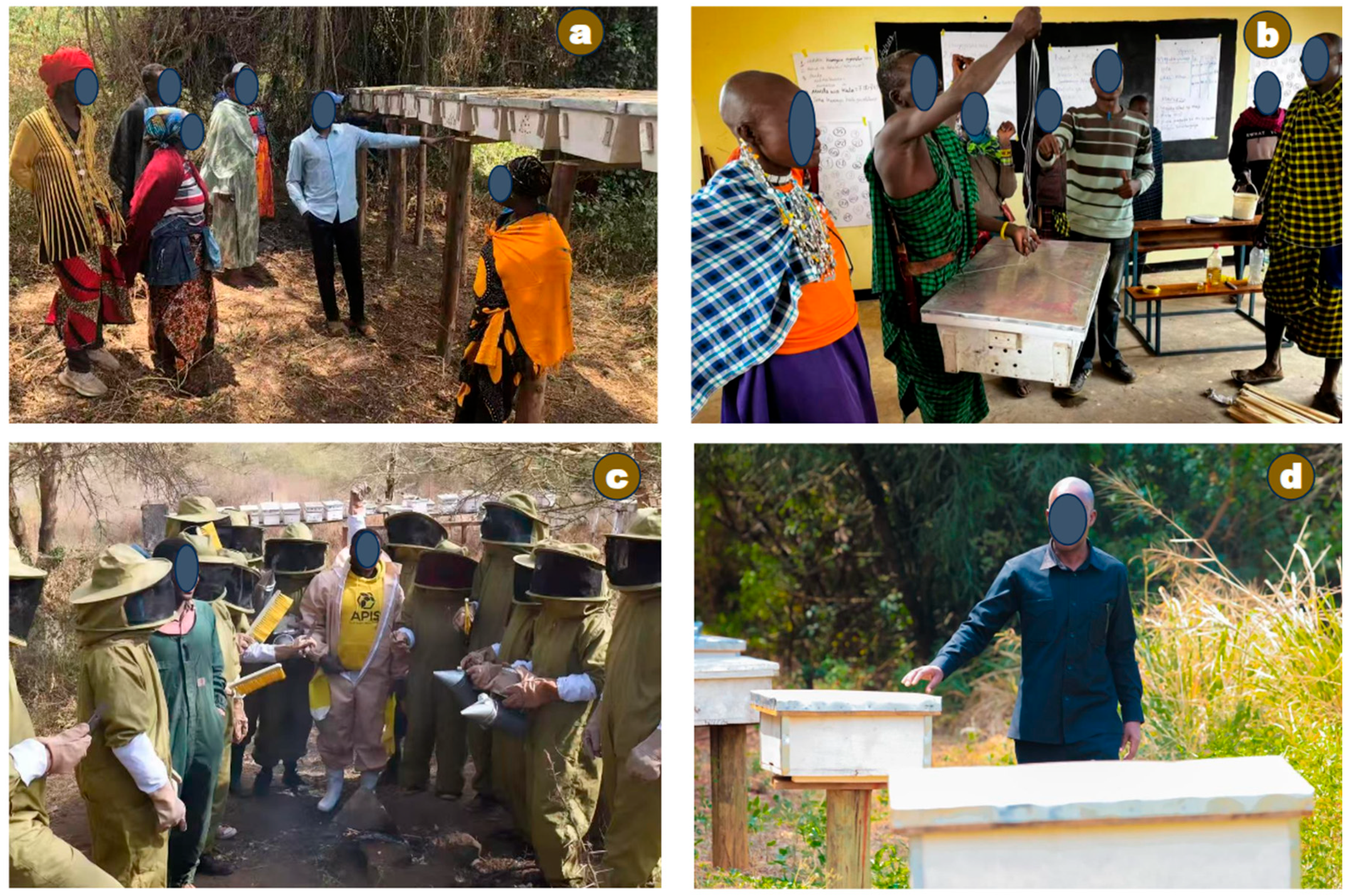 Preprints 192397 g003