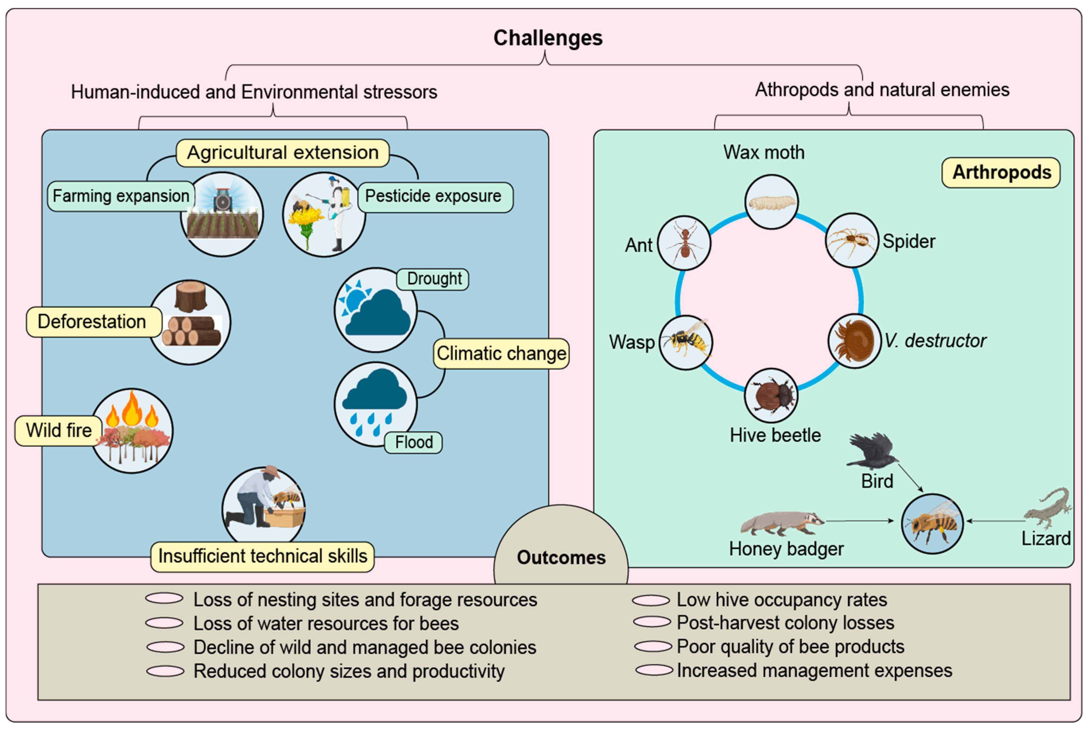 Preprints 192397 g004