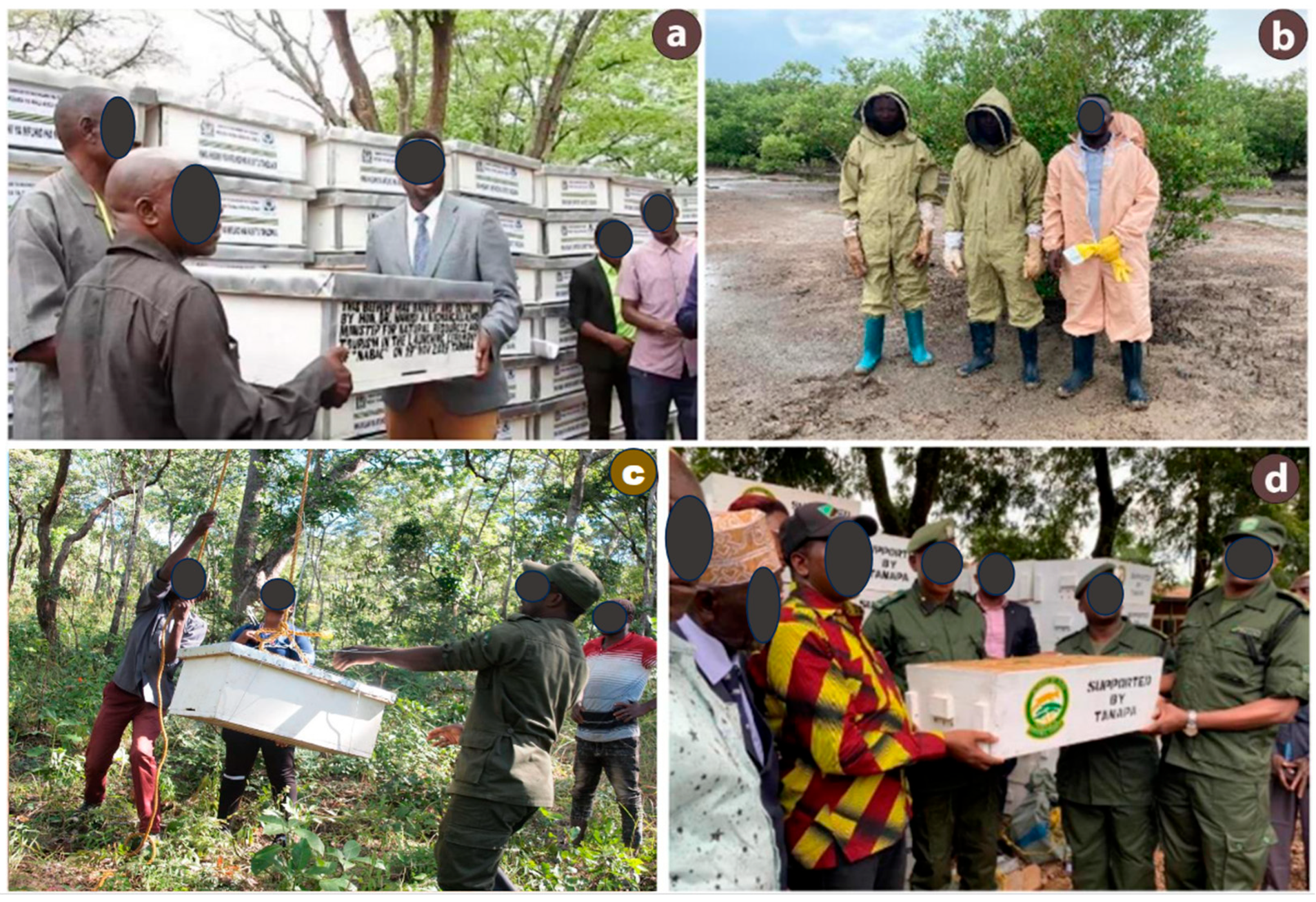 Preprints 192397 g006