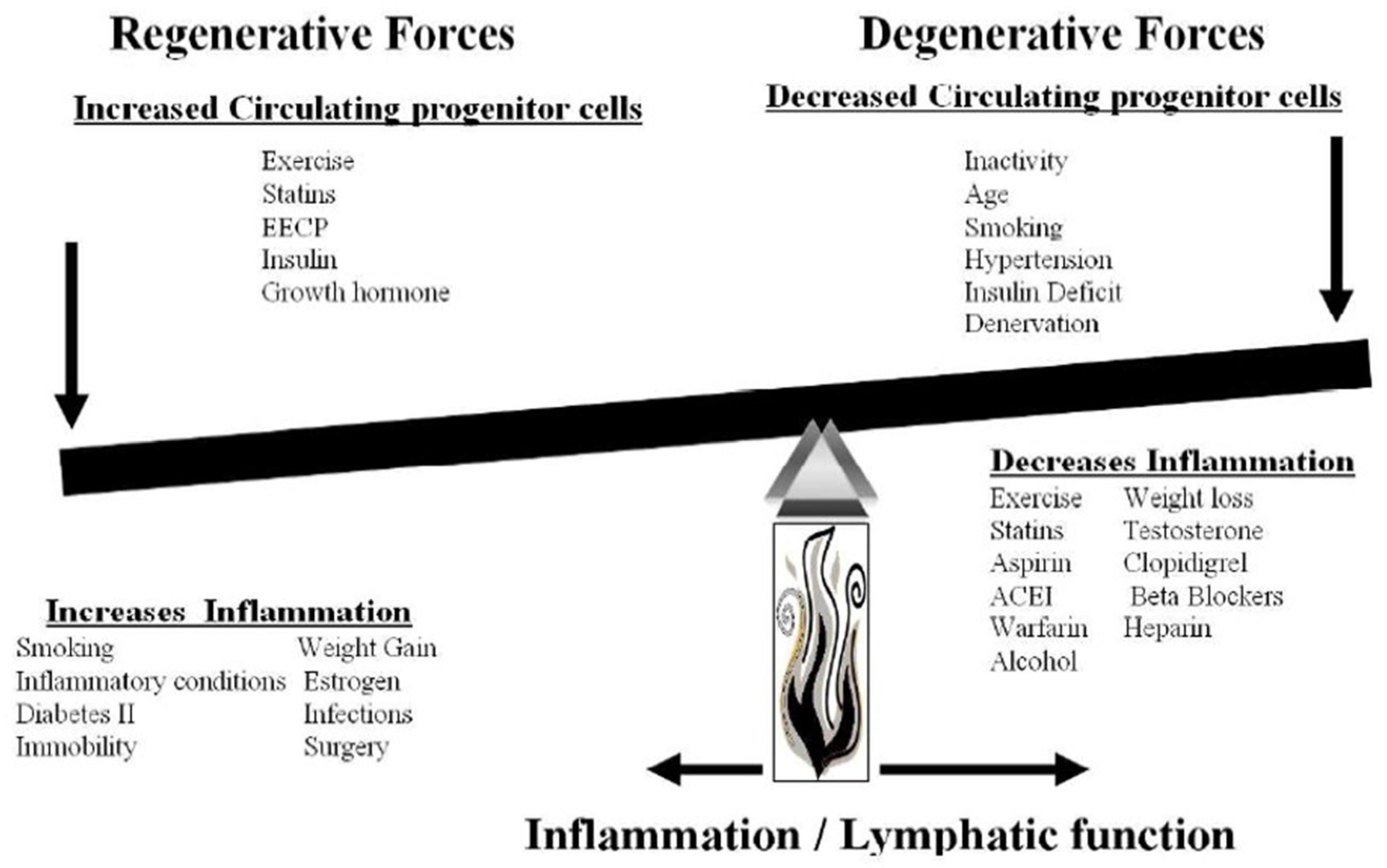 Preprints 73728 g001