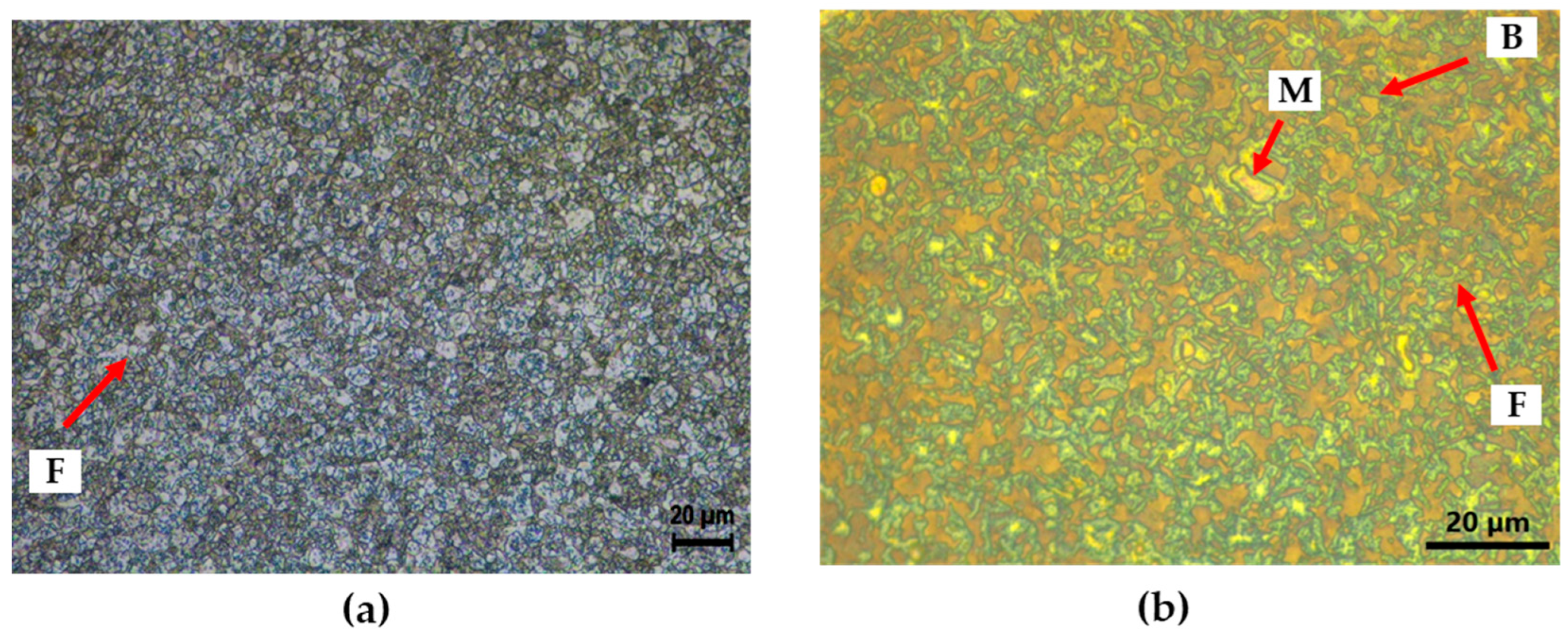 Preprints 89572 g002