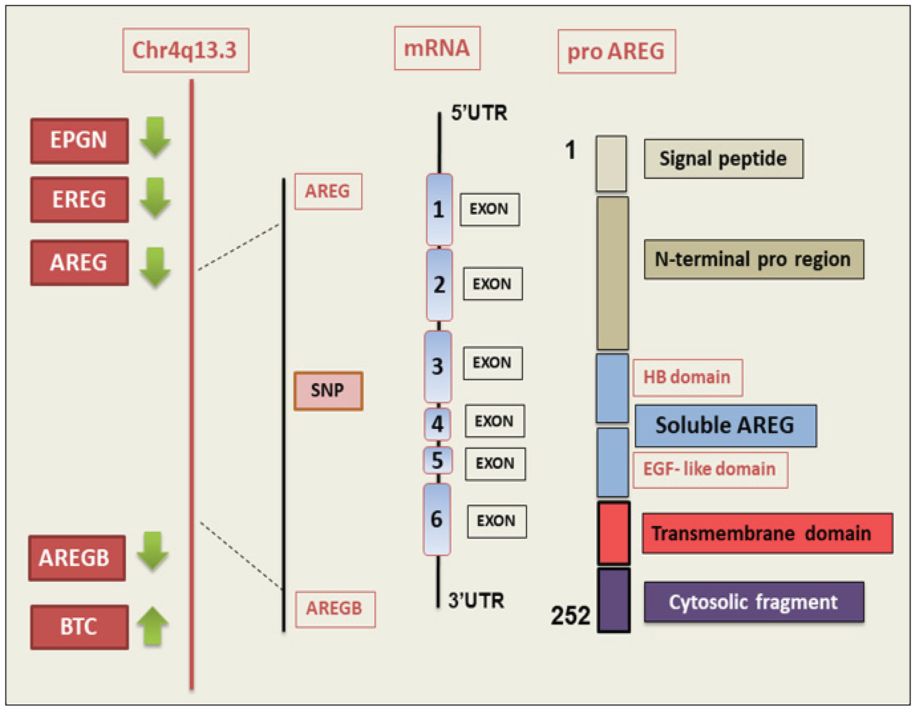 Preprints 168824 g001
