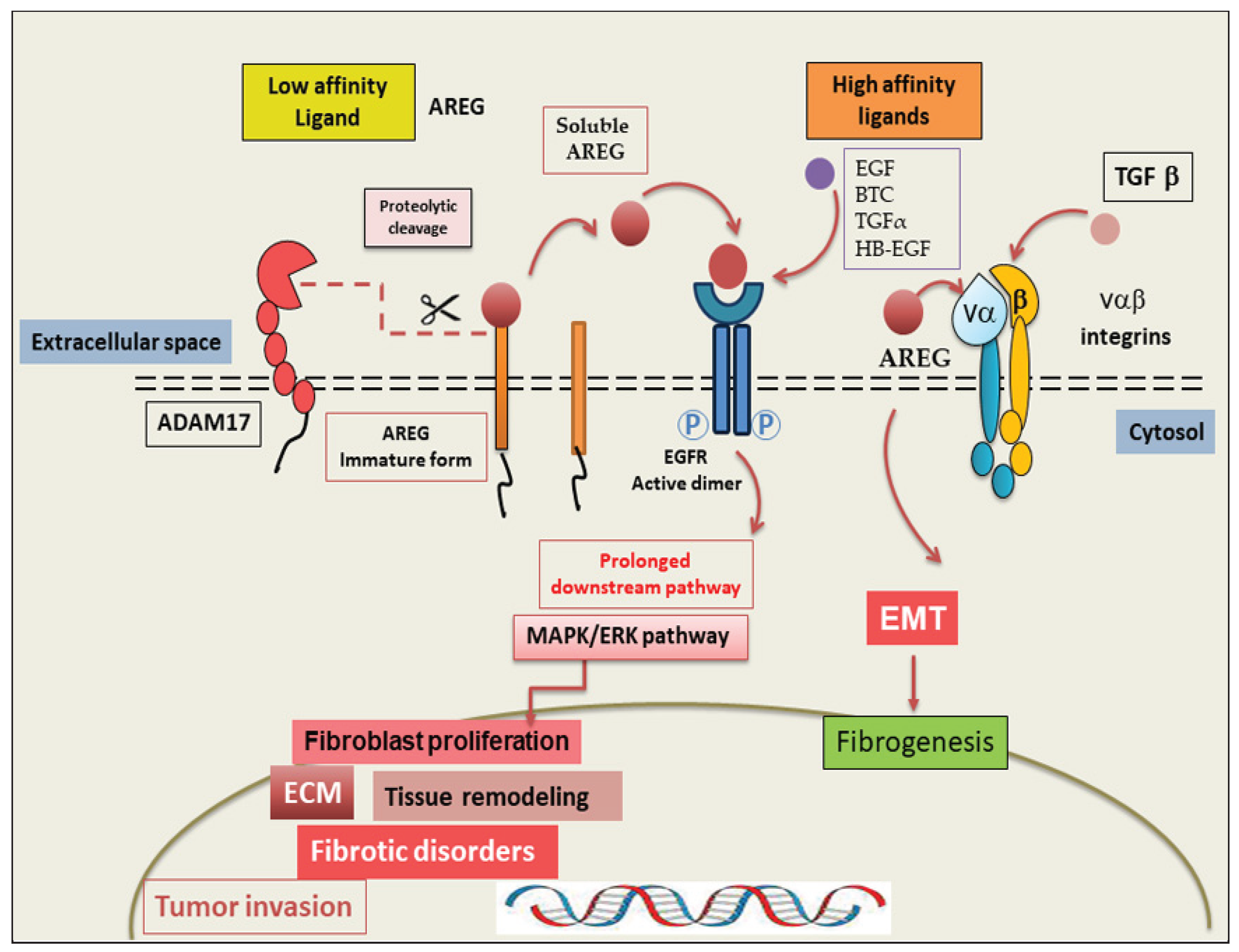 Preprints 168824 g002