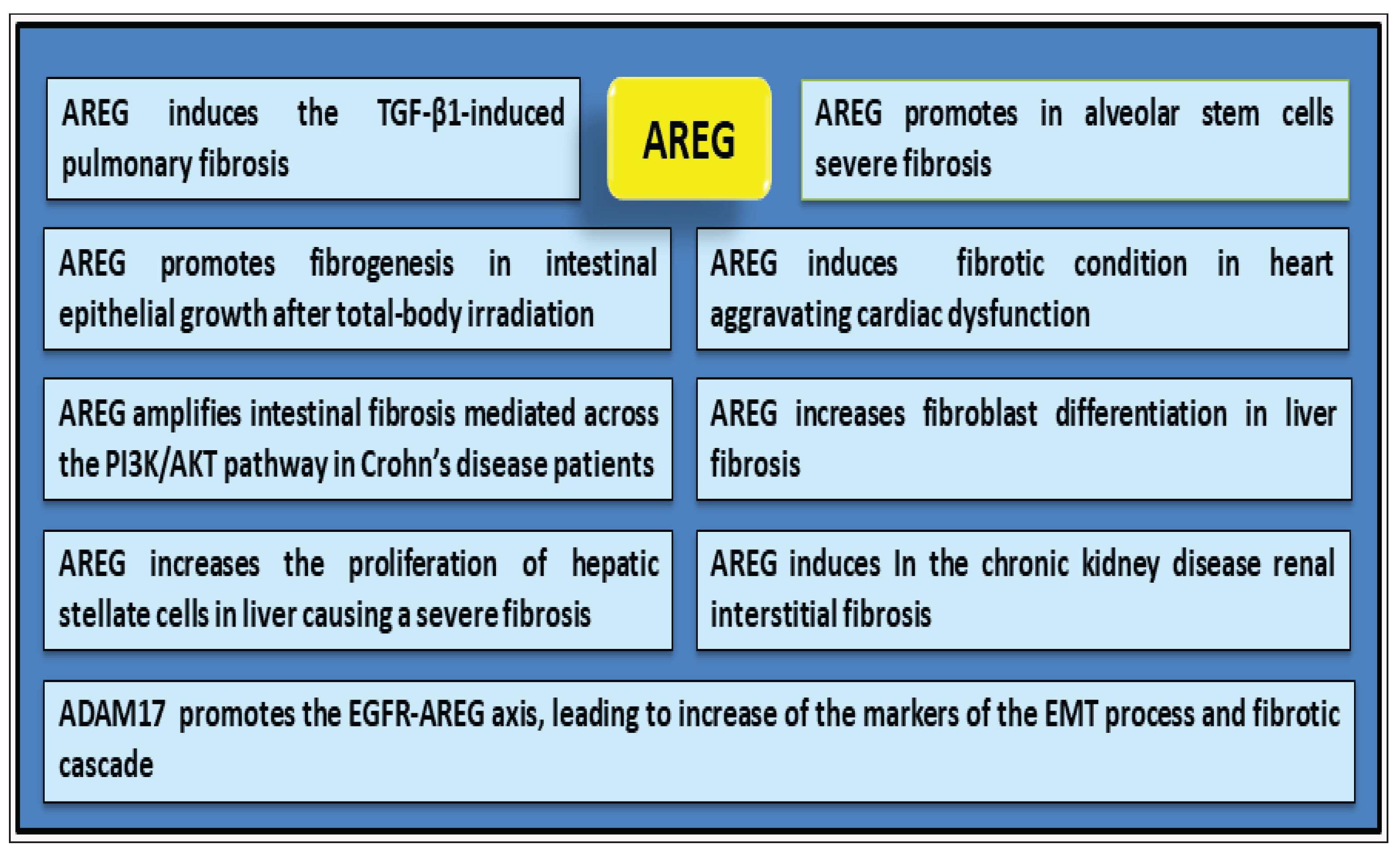 Preprints 168824 g003