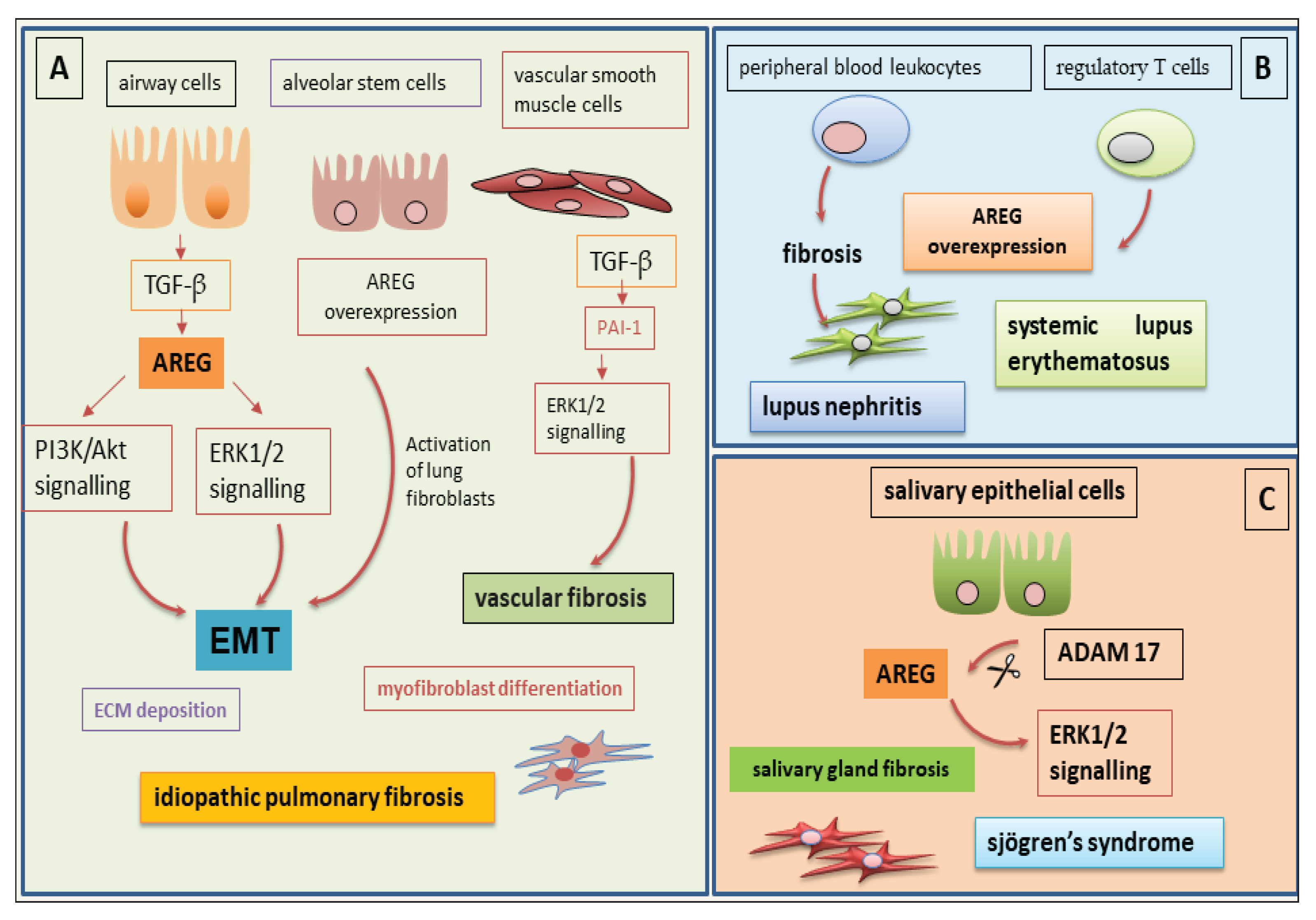 Preprints 168824 g004