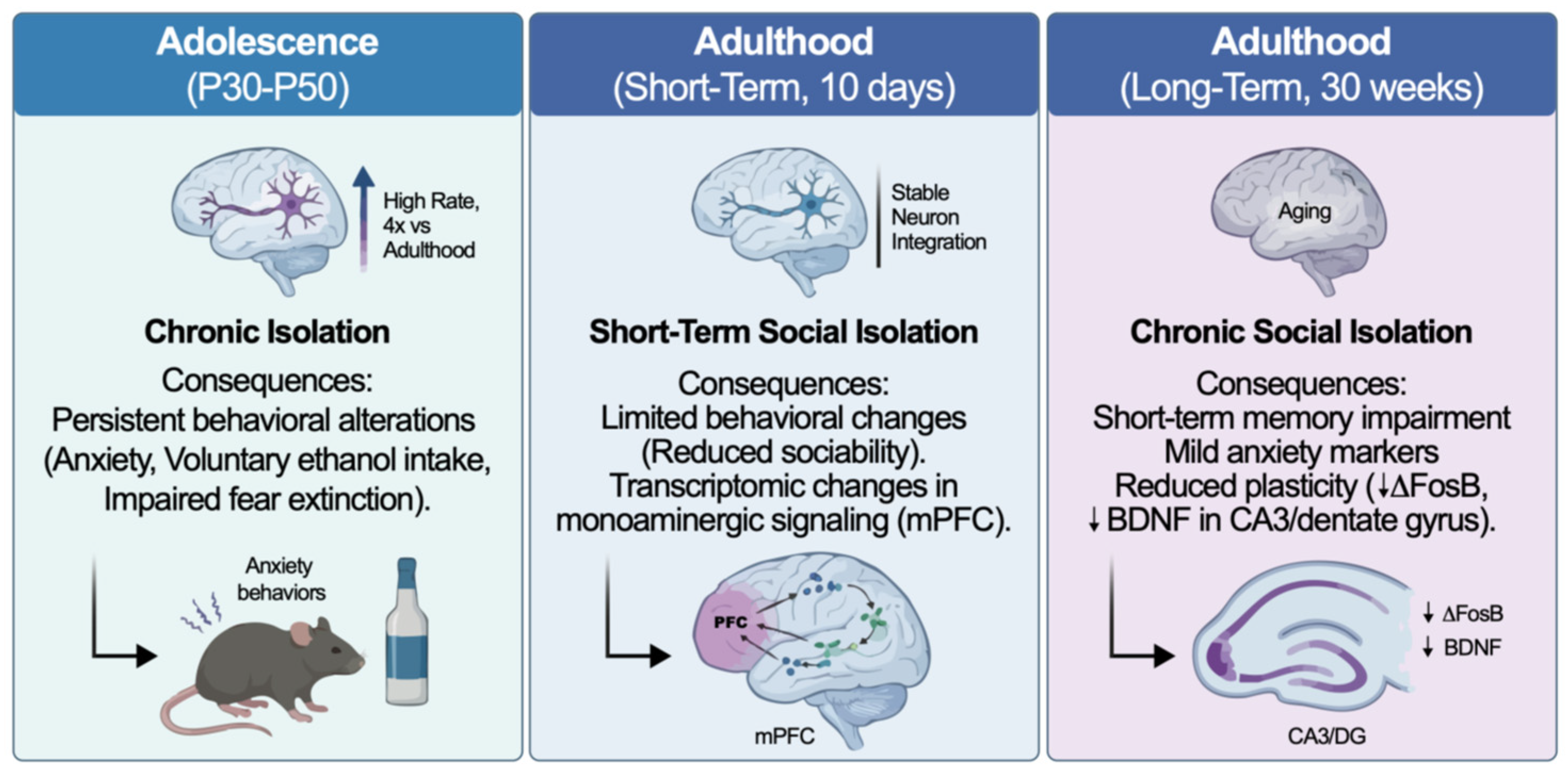 Preprints 197480 g001