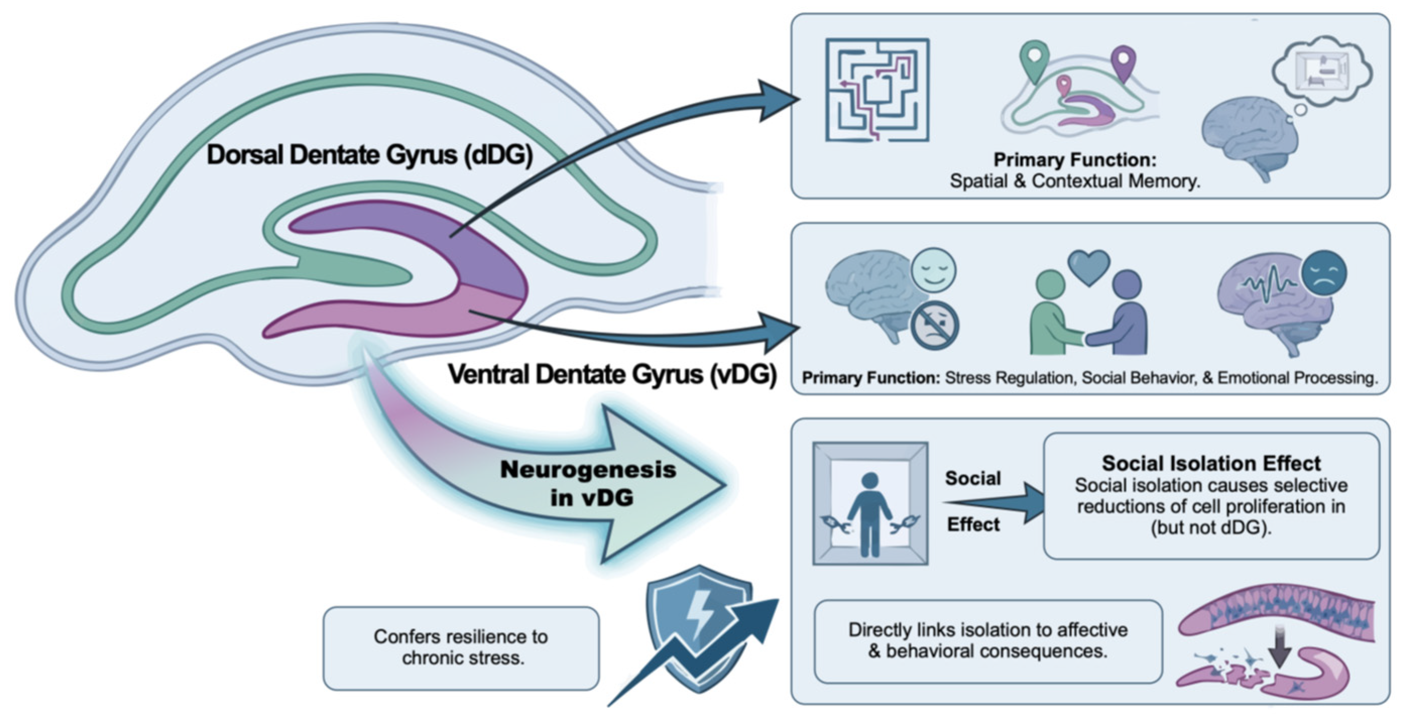 Preprints 197480 g002