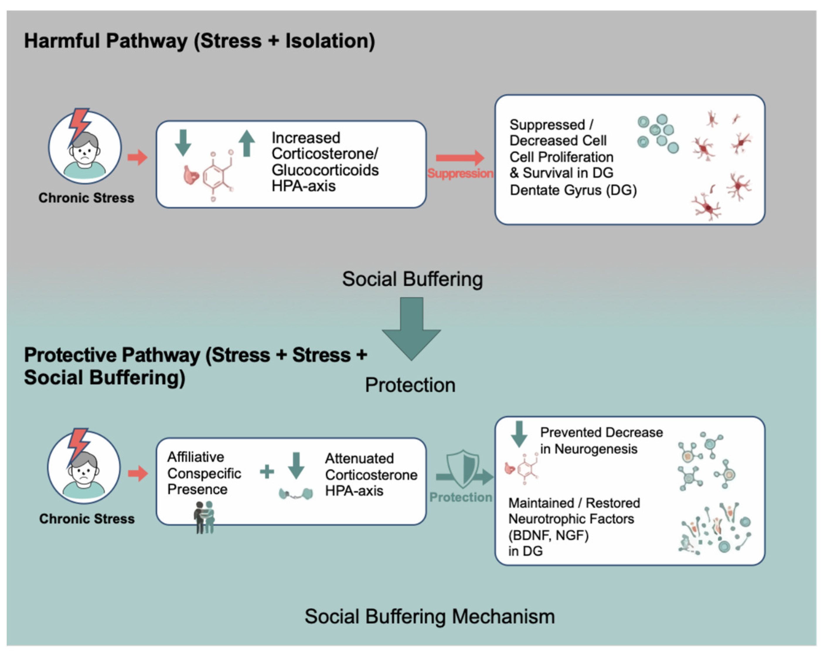 Preprints 197480 g003