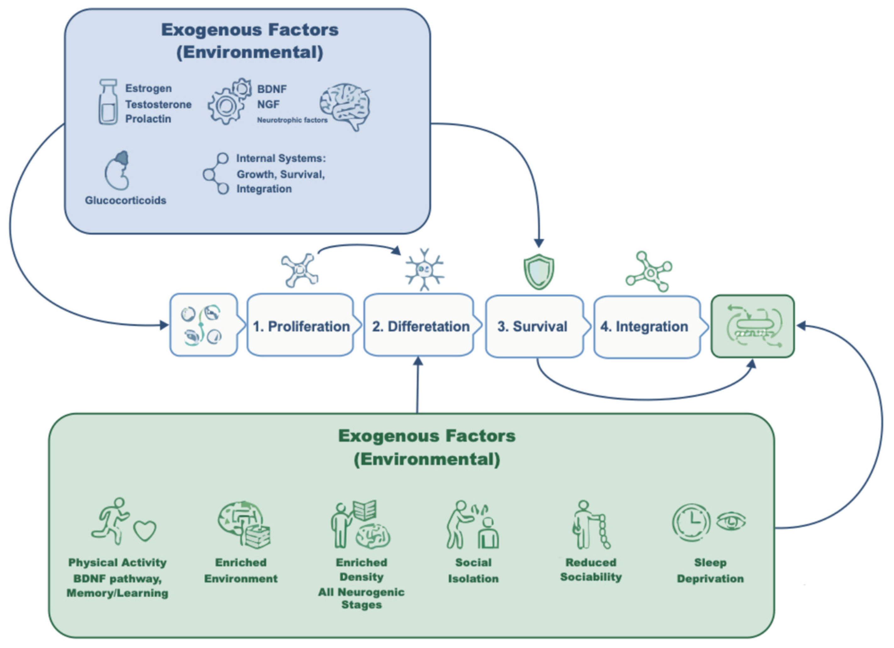 Preprints 197480 g005