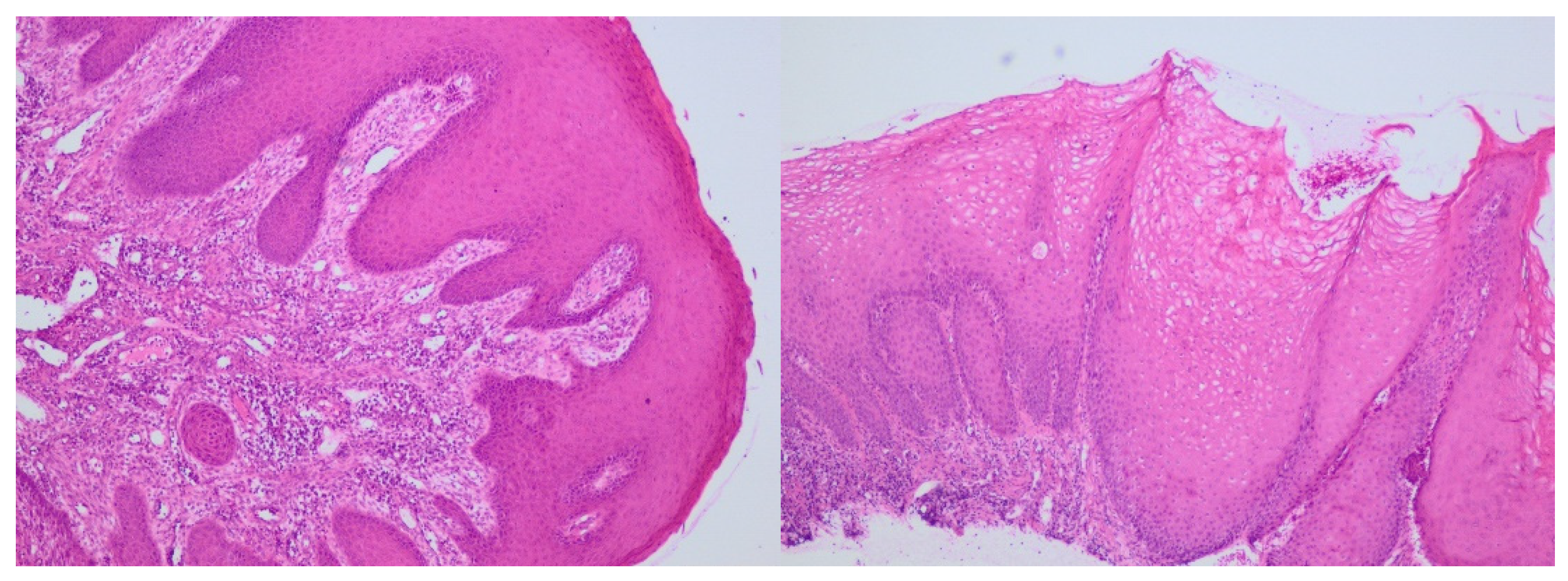 Preprints 141507 g002