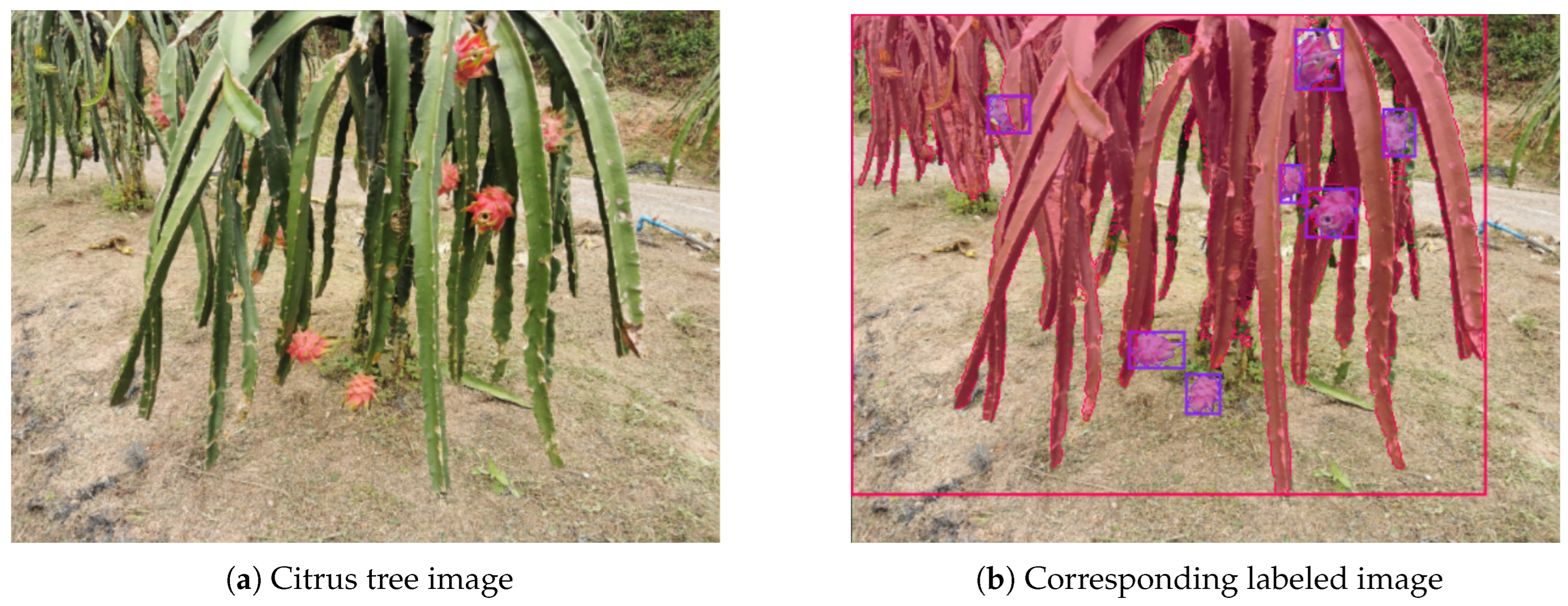 Preprints 195817 g001
