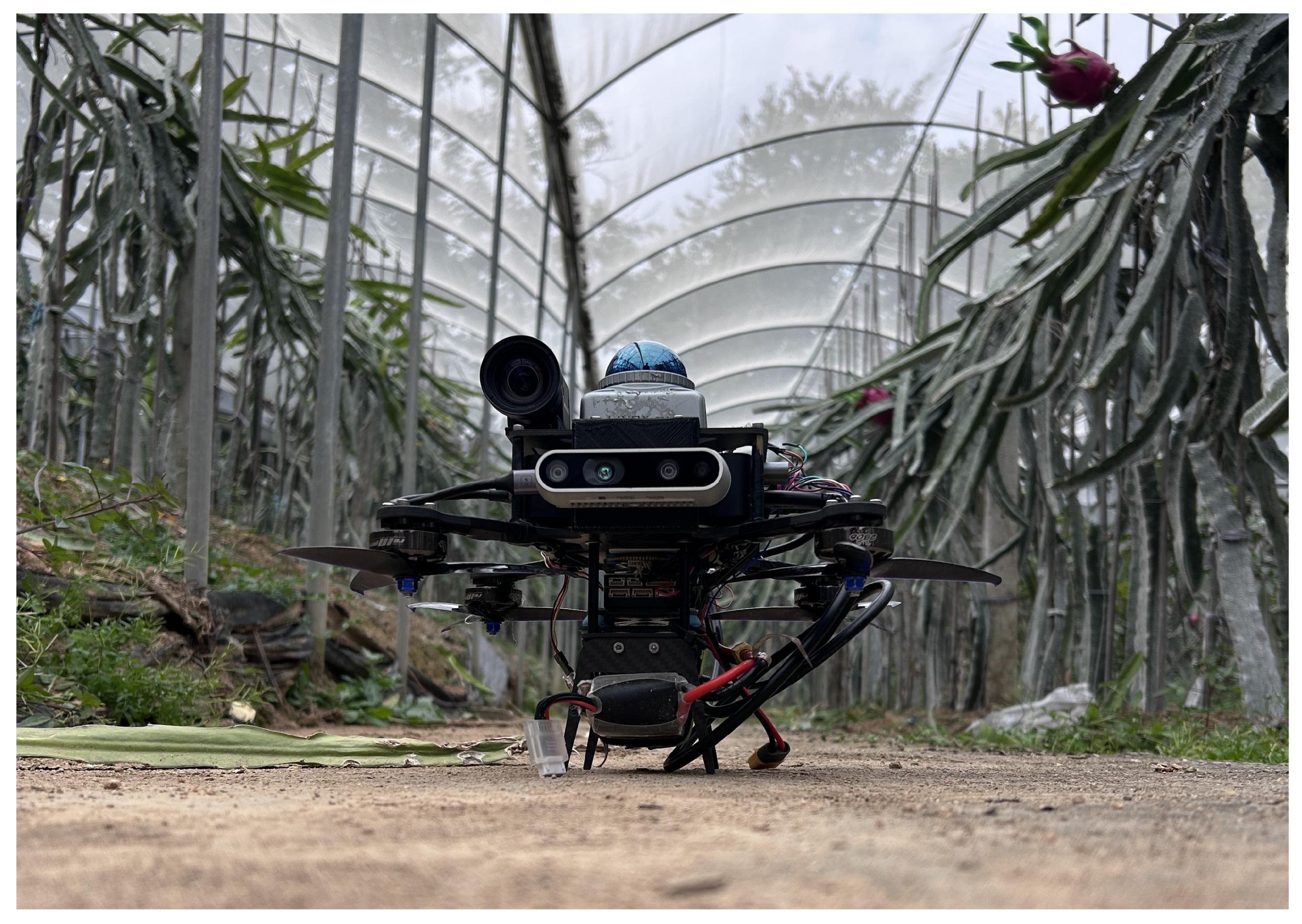 Preprints 195817 g009