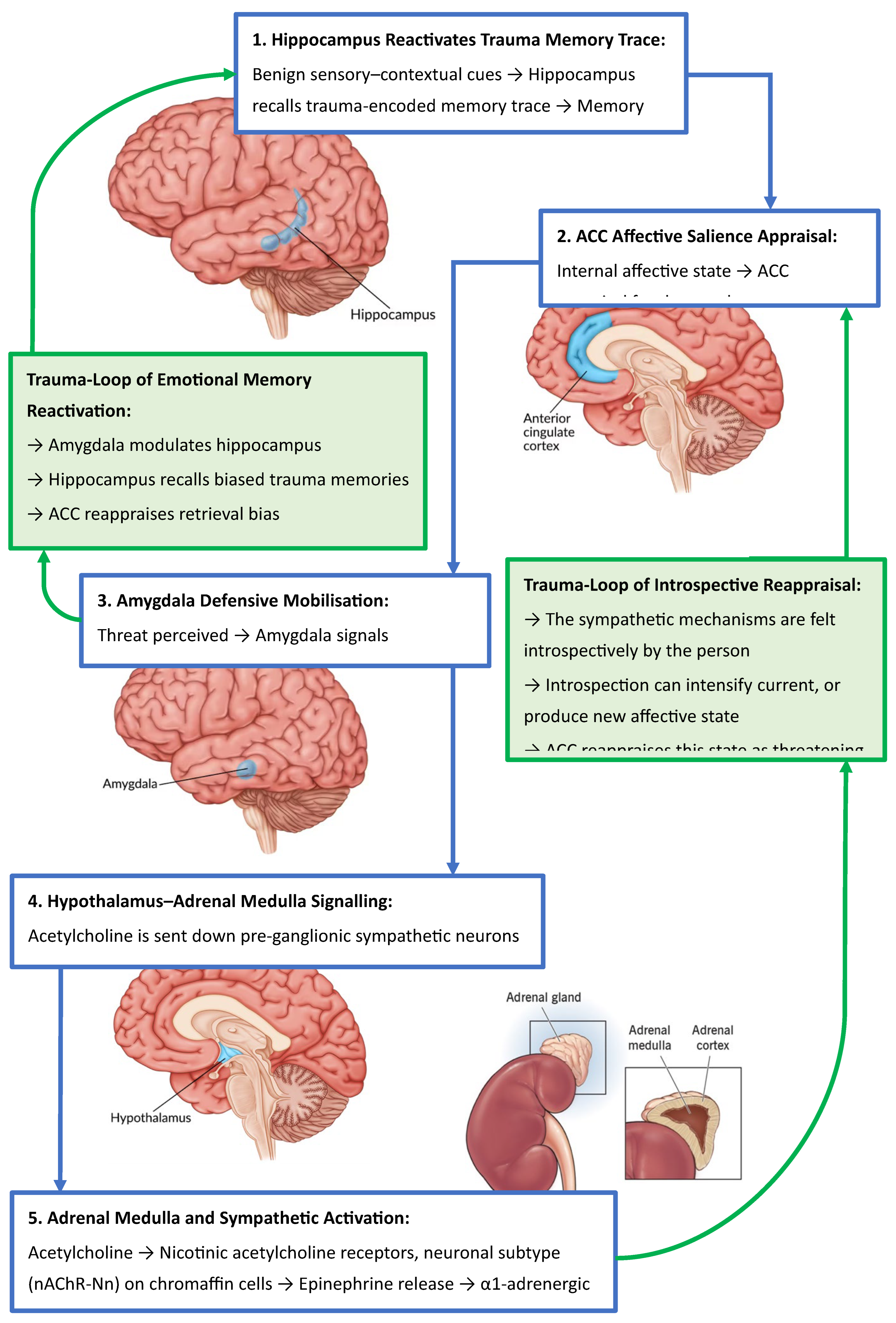 Preprints 179299 g002