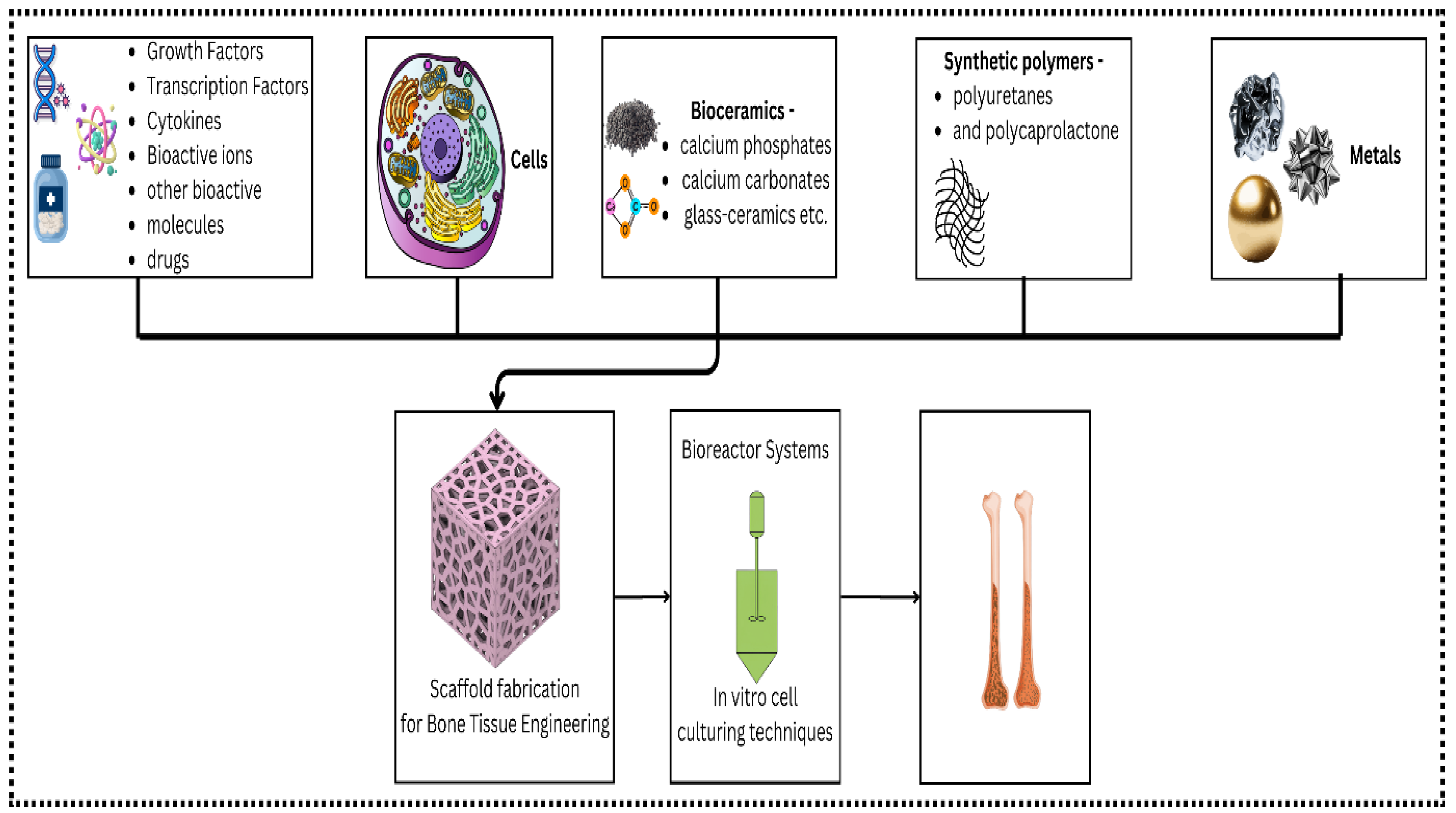 Preprints 147024 g001