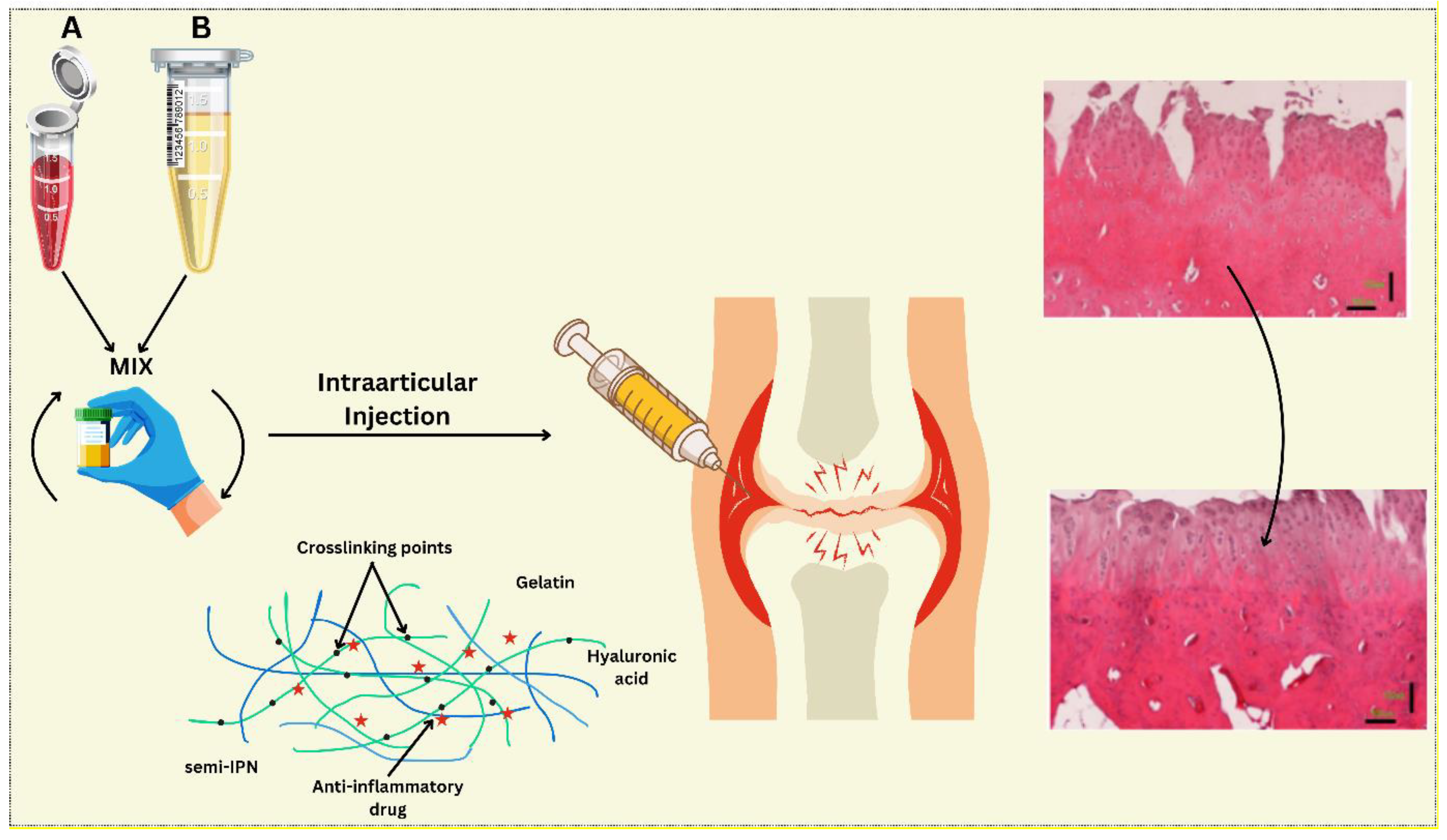 Preprints 147024 g002