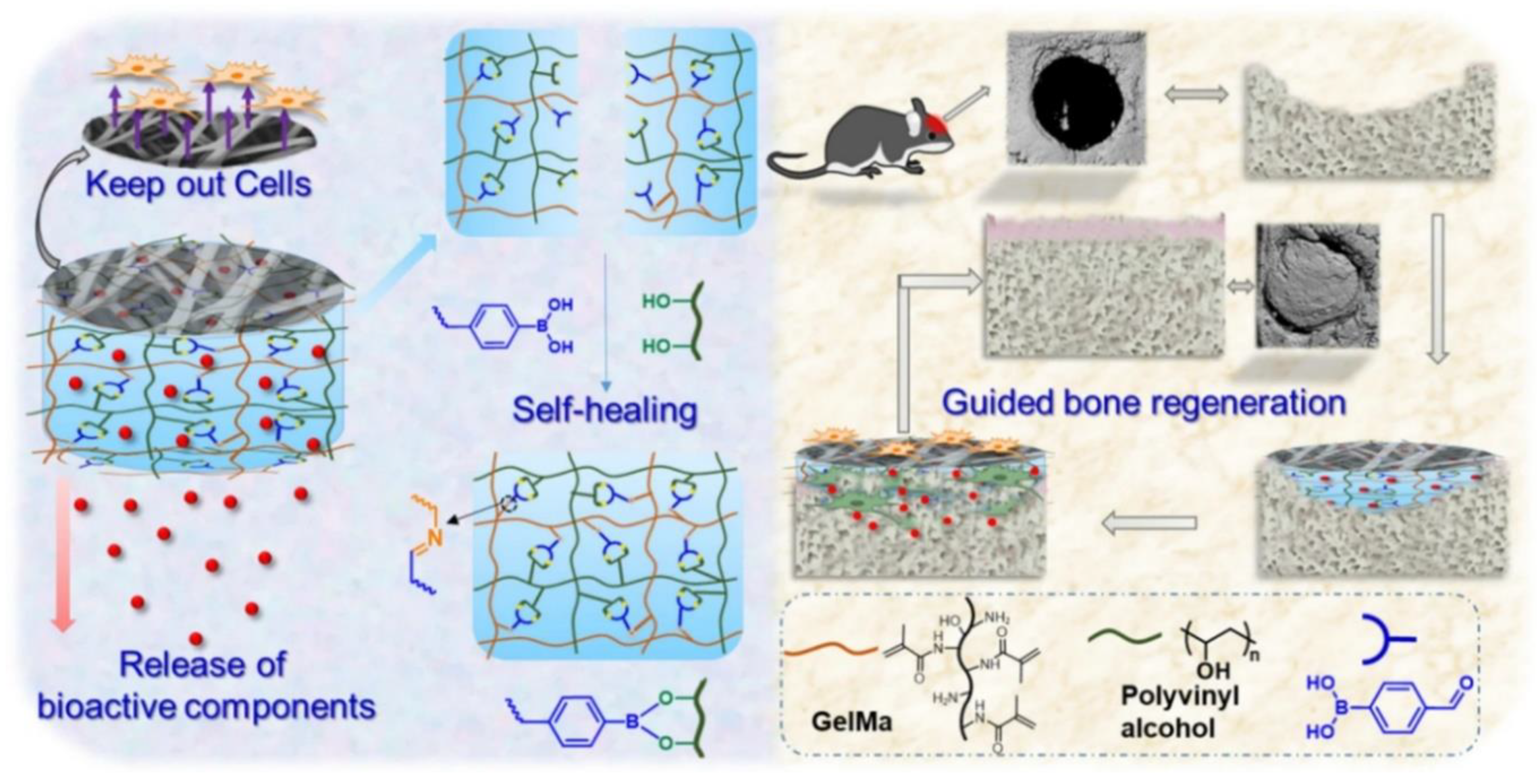 Preprints 147024 g004