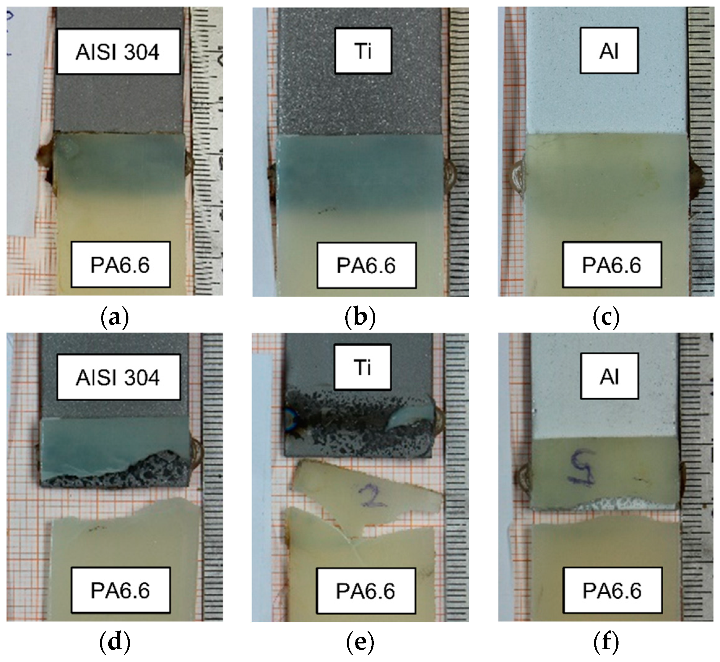 Preprints 92513 g003