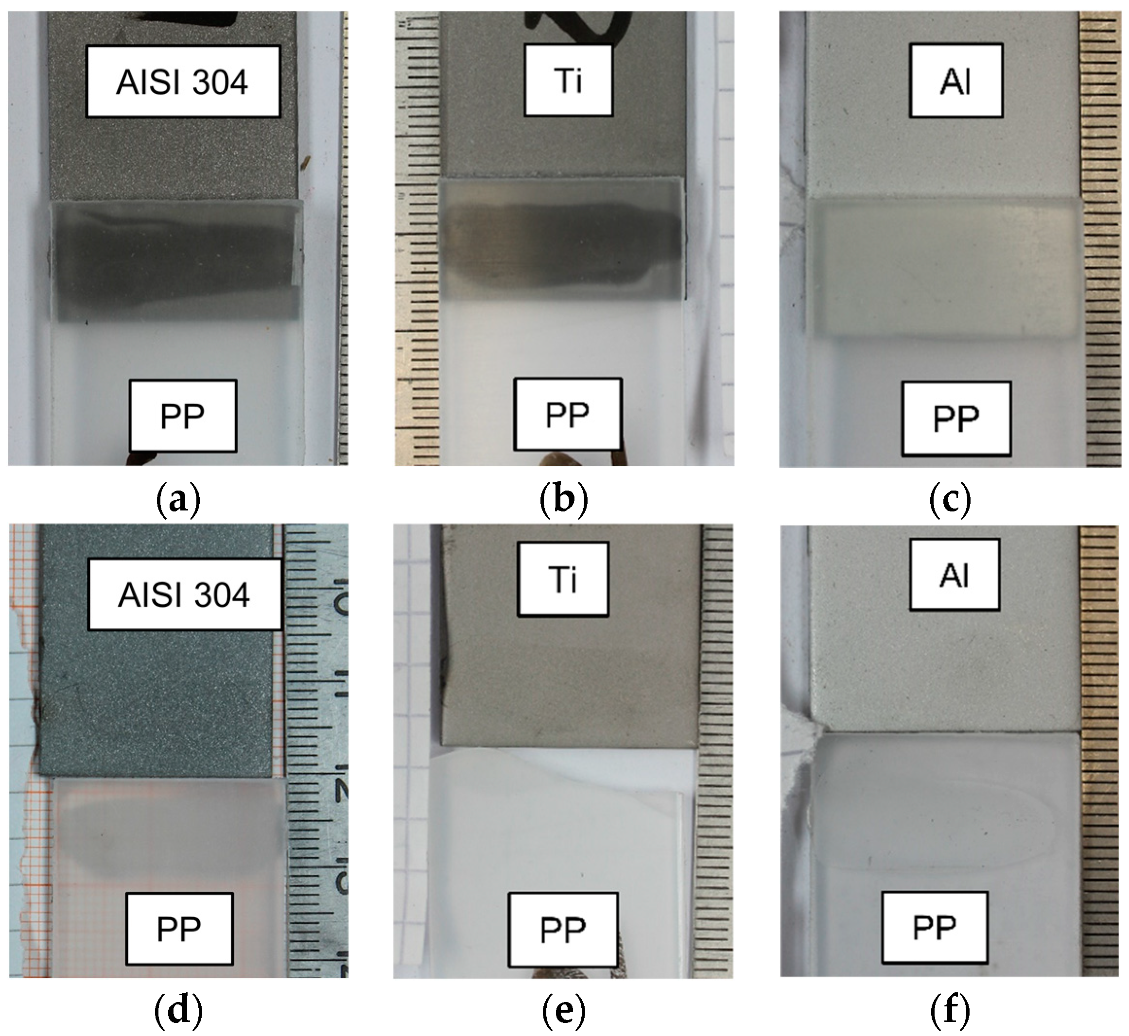 Preprints 92513 g005