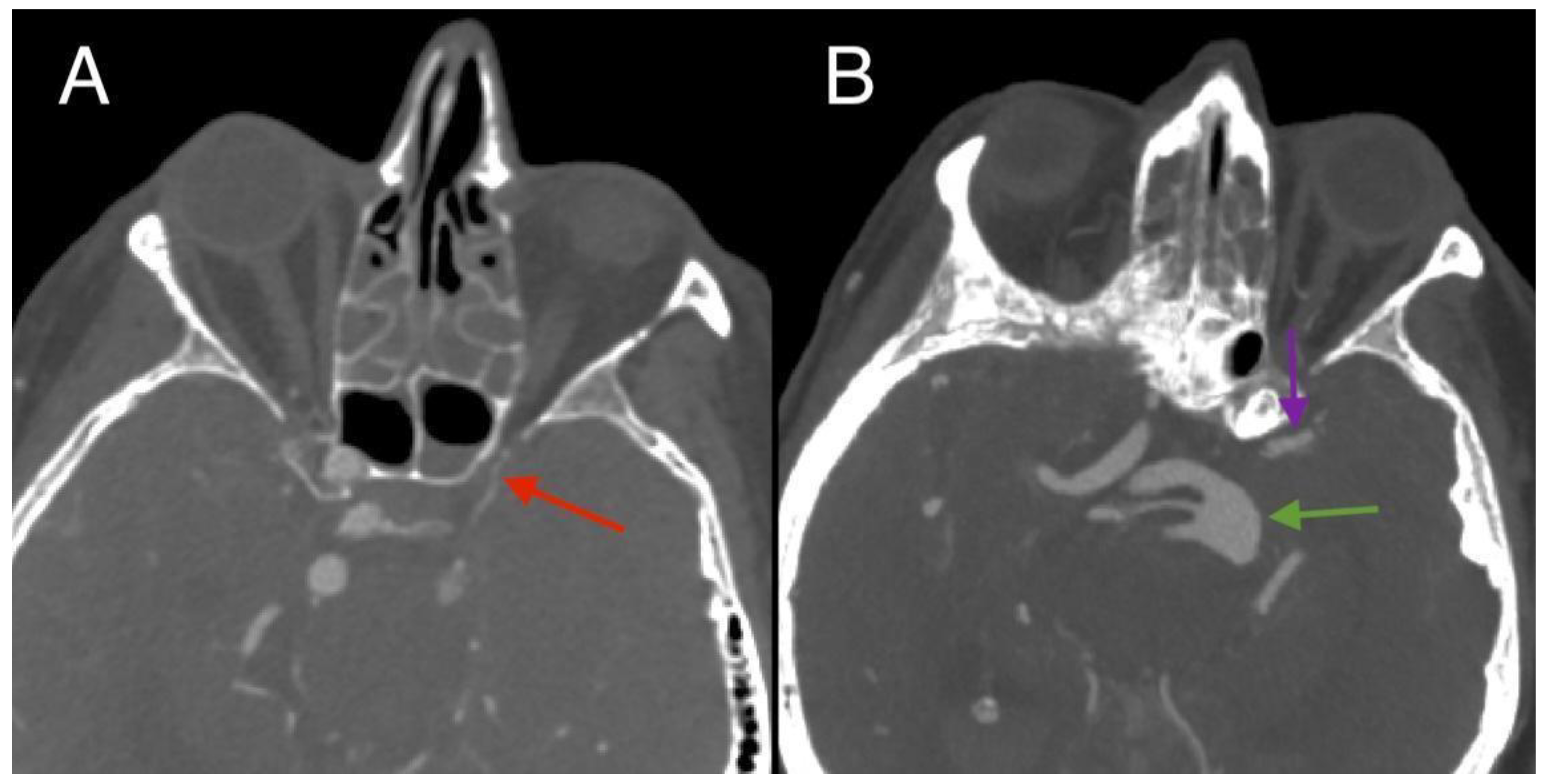 Preprints 146187 g002