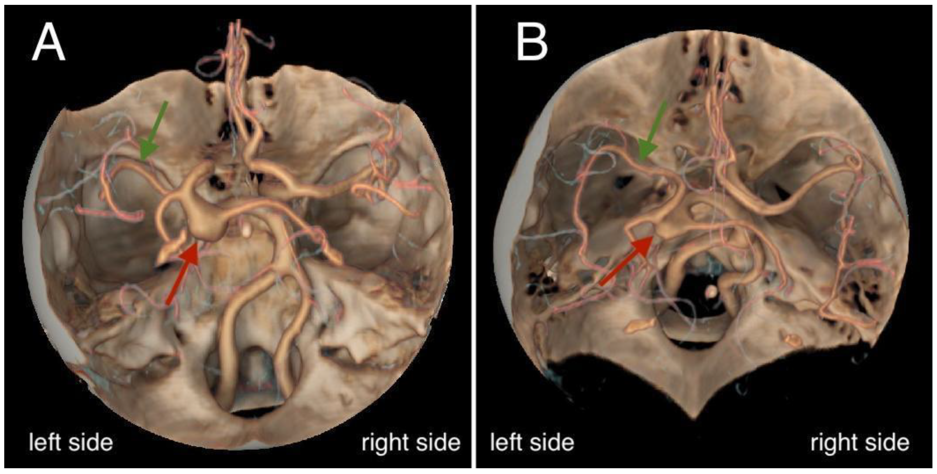Preprints 146187 g004
