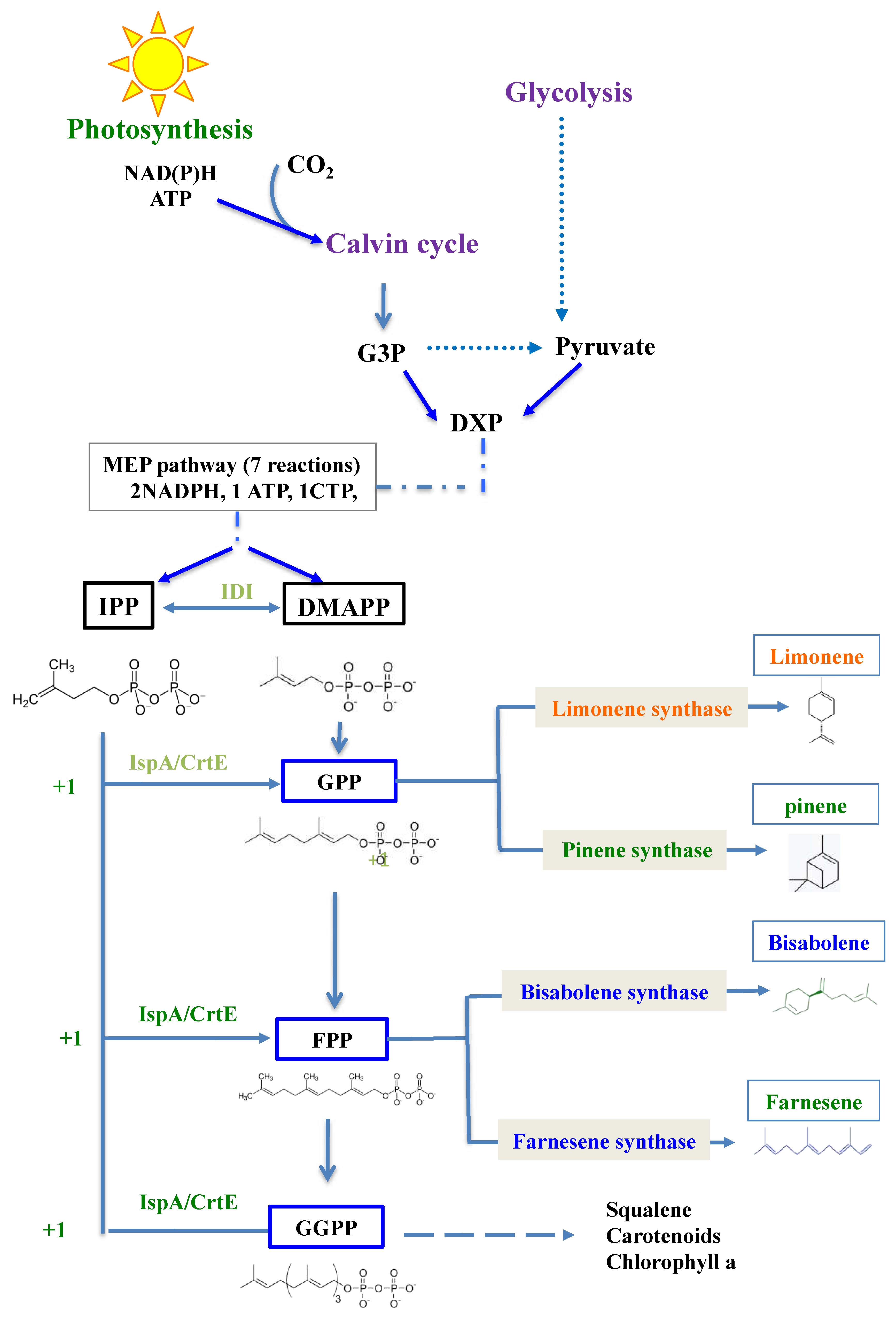 Preprints 68523 g001