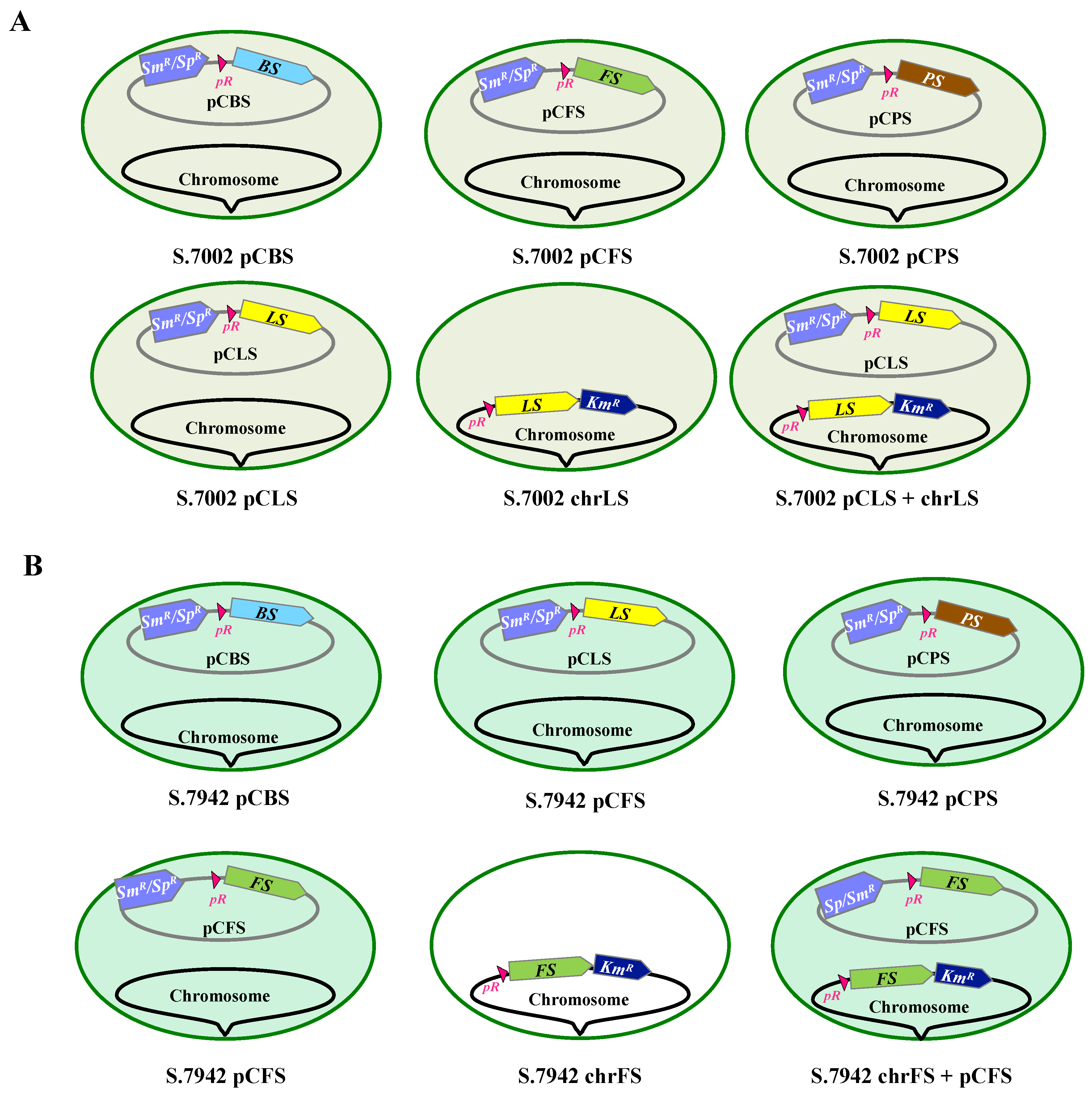 Preprints 68523 g002