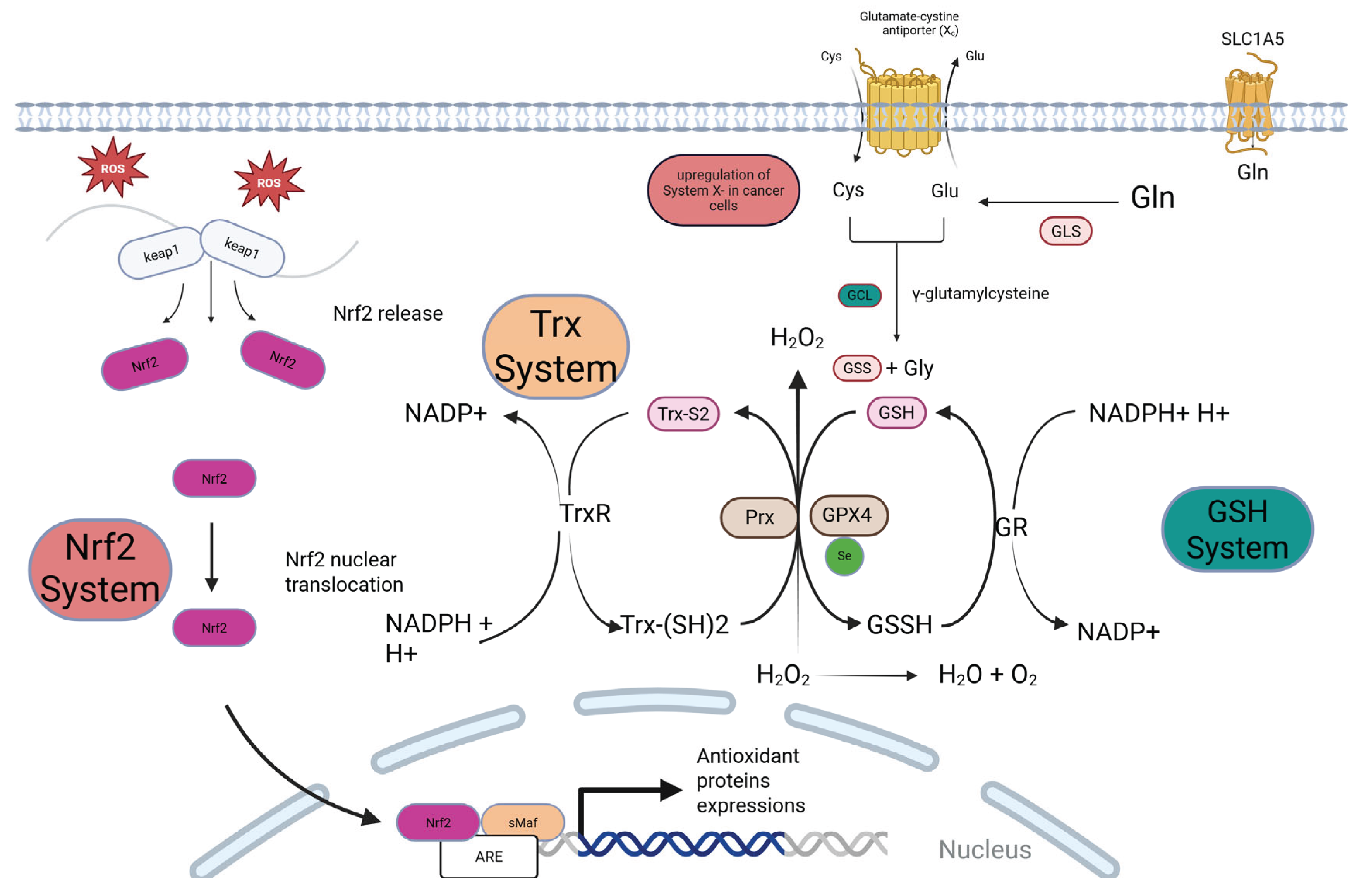 Preprints 173927 g001