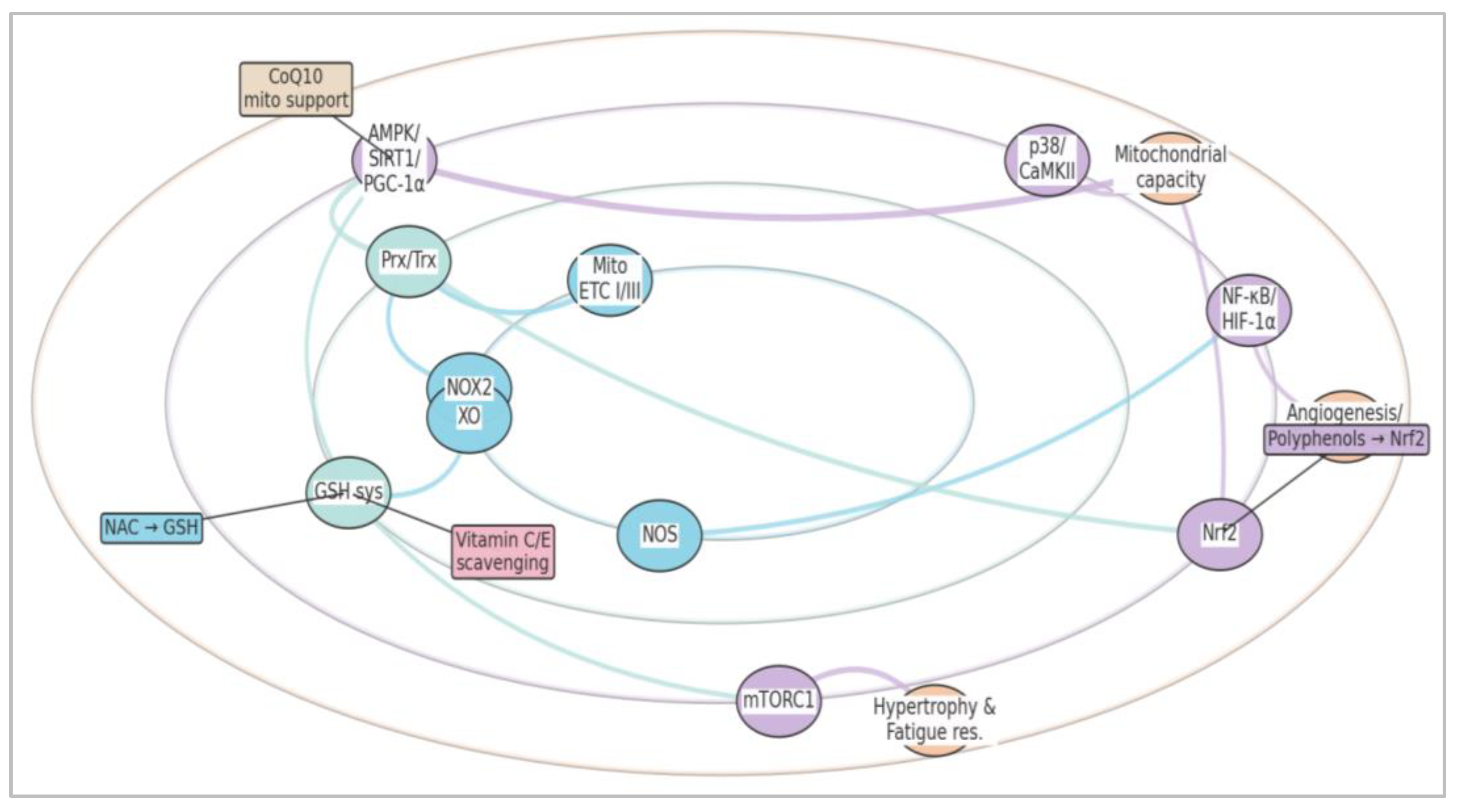 Preprints 202737 g001